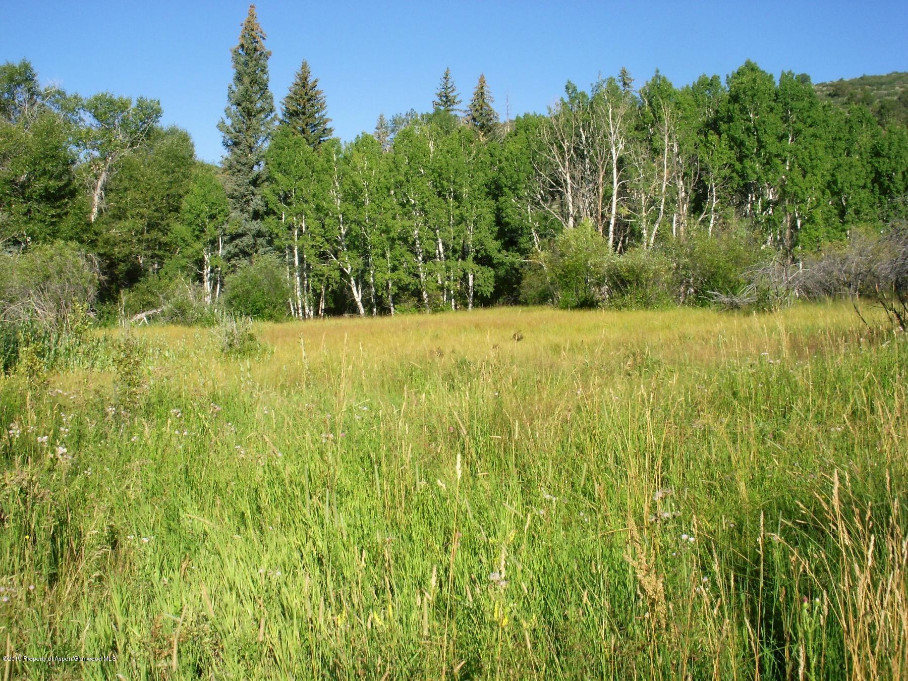 TBD County Road 121, Glenwood Springs, CO 81601 - Photo 8