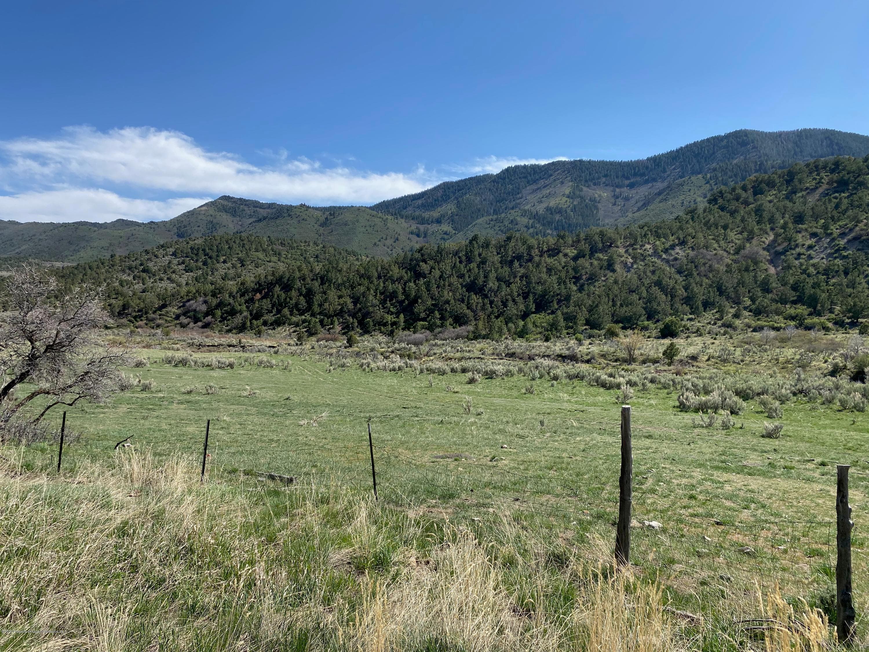 00 W RIFLE CREEK Road, Rifle, CO 81650 - Photo 13