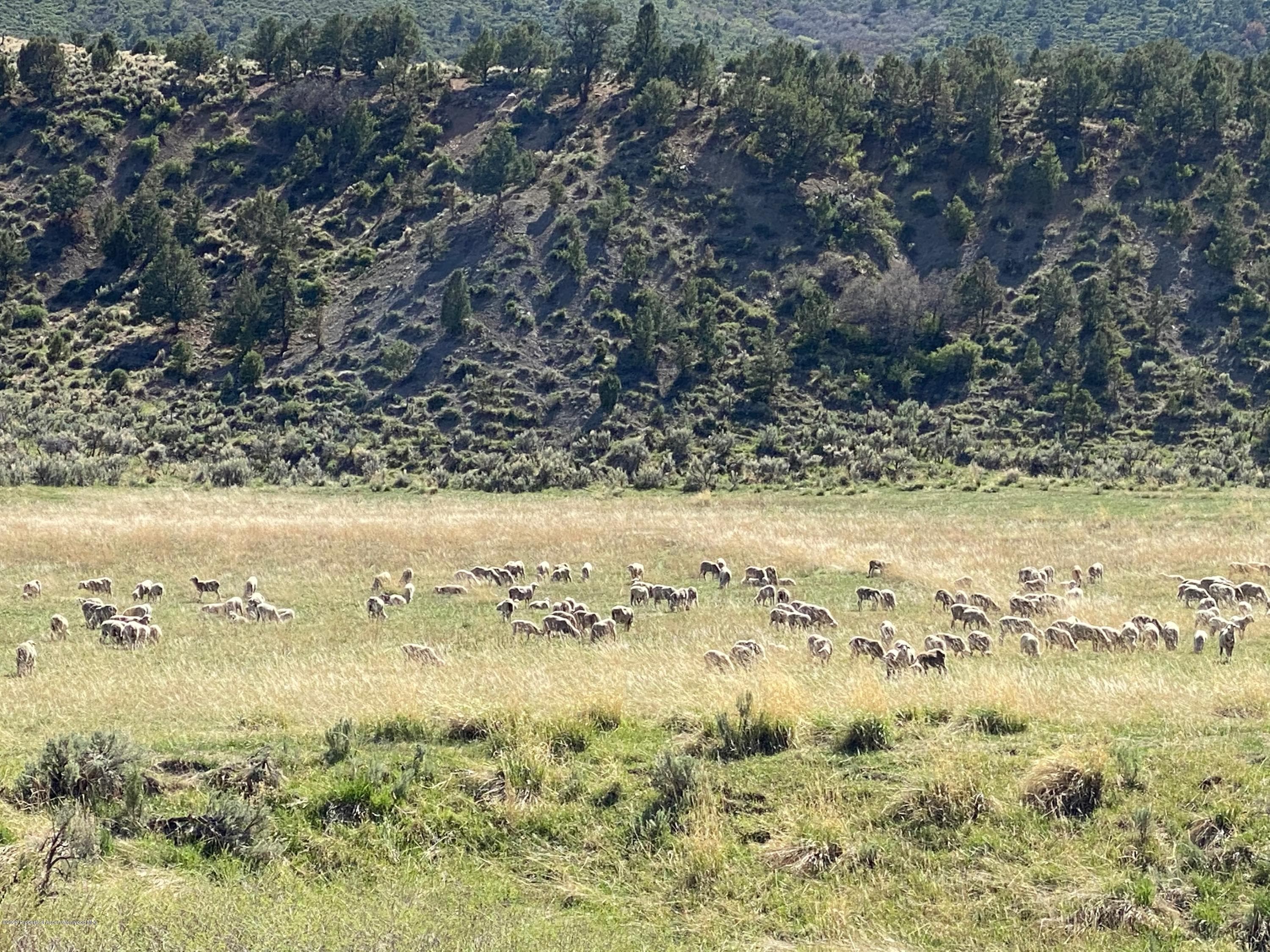 00 W RIFLE CREEK Road, Rifle, CO 81650