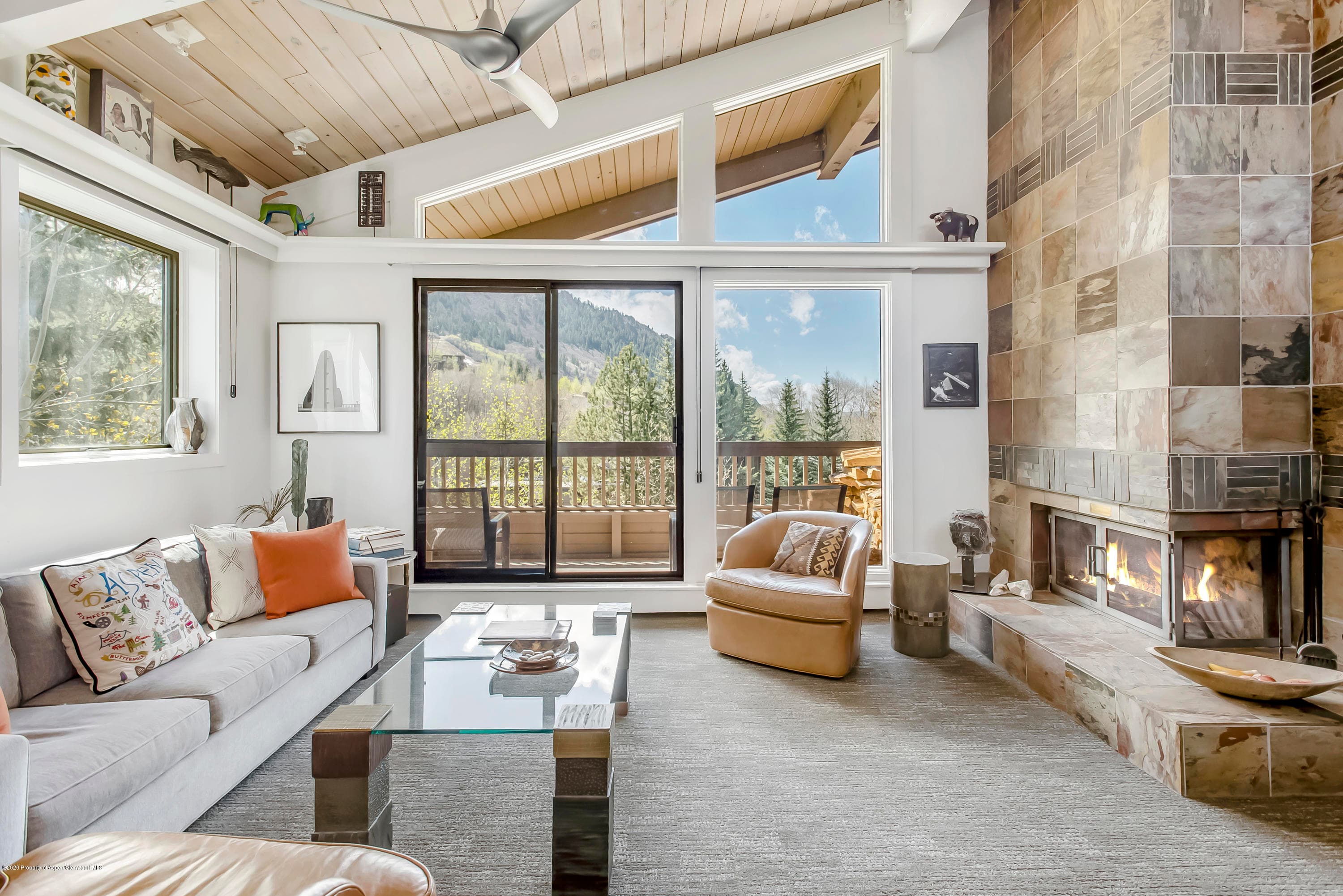 610 S W End Street E401, Aspen, CO 81611 - Photo 2