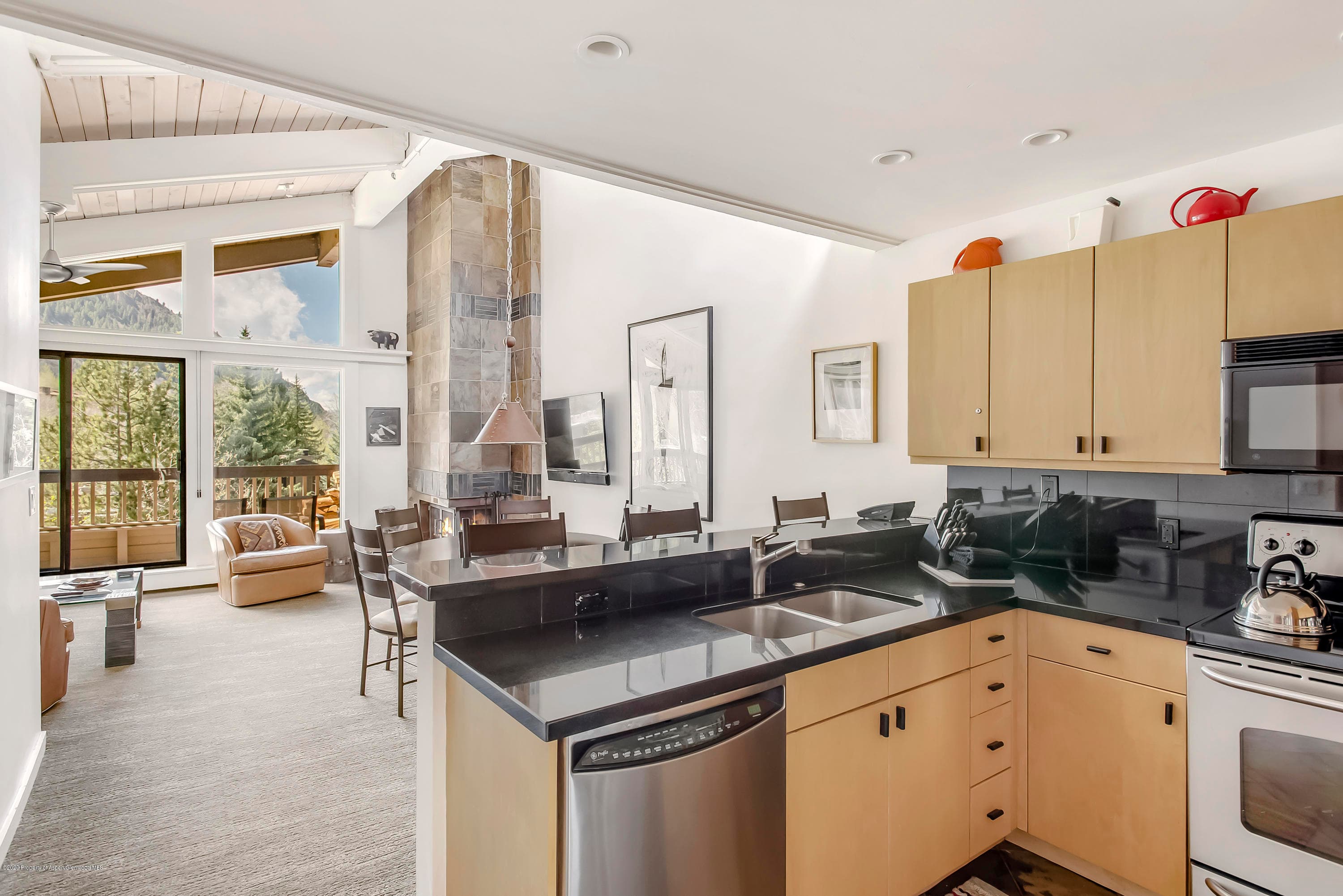 610 S W End Street E401, Aspen, CO 81611 - Photo 1