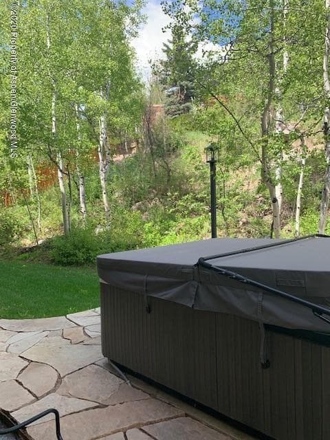 42555 E Highway 82, Aspen, CO 81611 - Photo 21