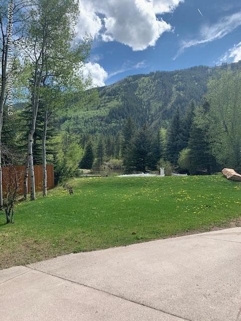 42555 E Highway 82, Aspen, CO 81611 - Photo 23