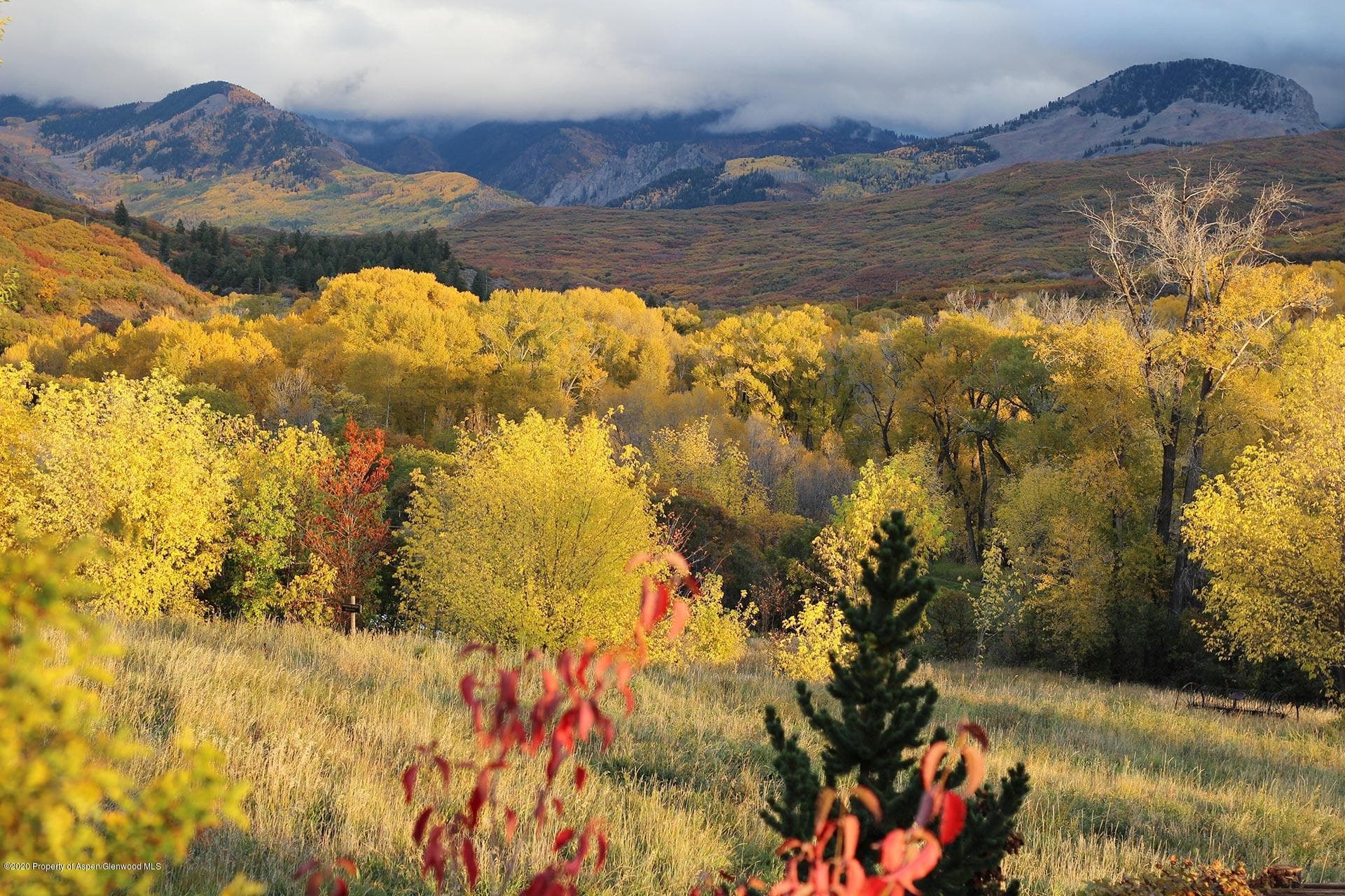 45362 Needle Rock Road, Crawford, CO 81415 - Photo 5