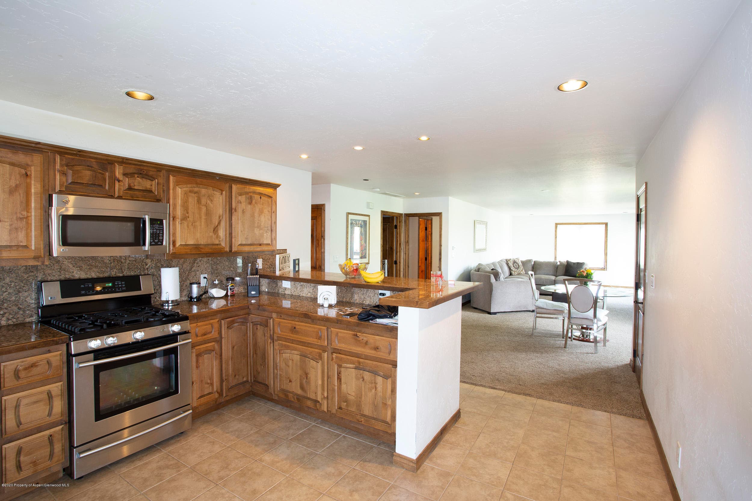 1468 W Main Street, Carbondale, CO 81623 - Photo 5