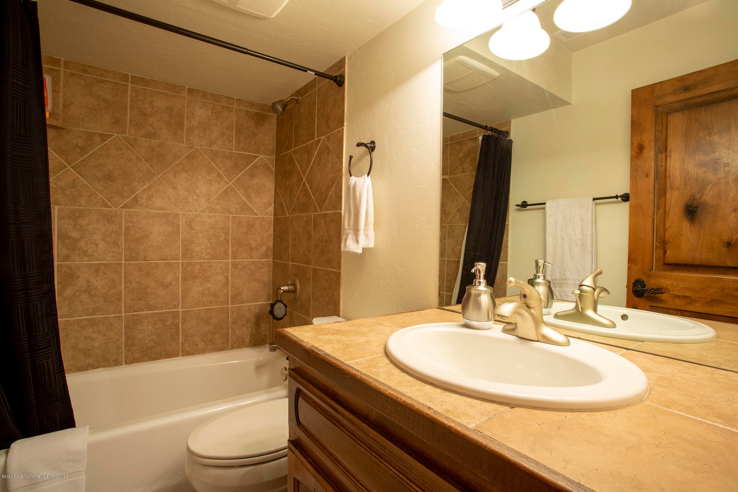 1468 W Main Street, Carbondale, CO 81623 - Photo 11