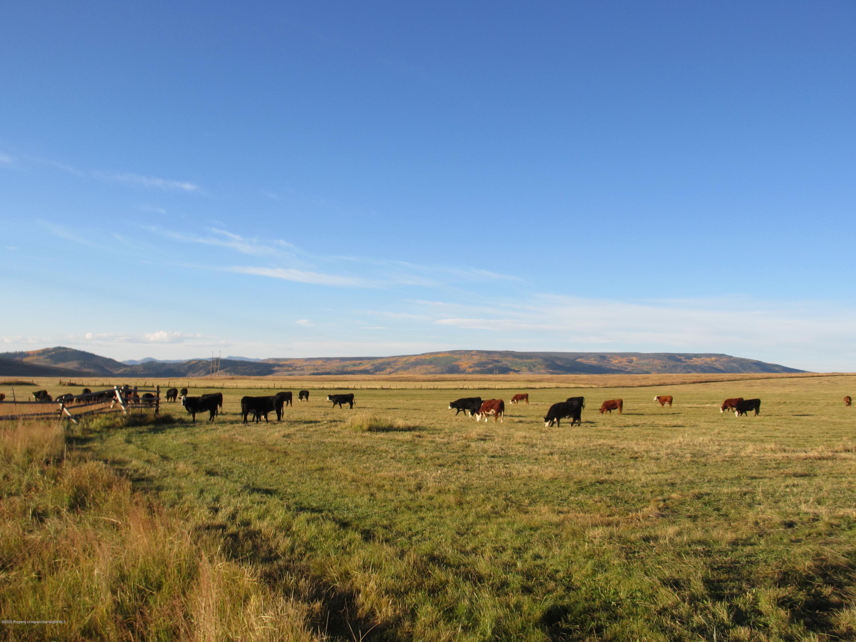 35470 State Highway 134, Toponas, CO 80479 - Photo 2