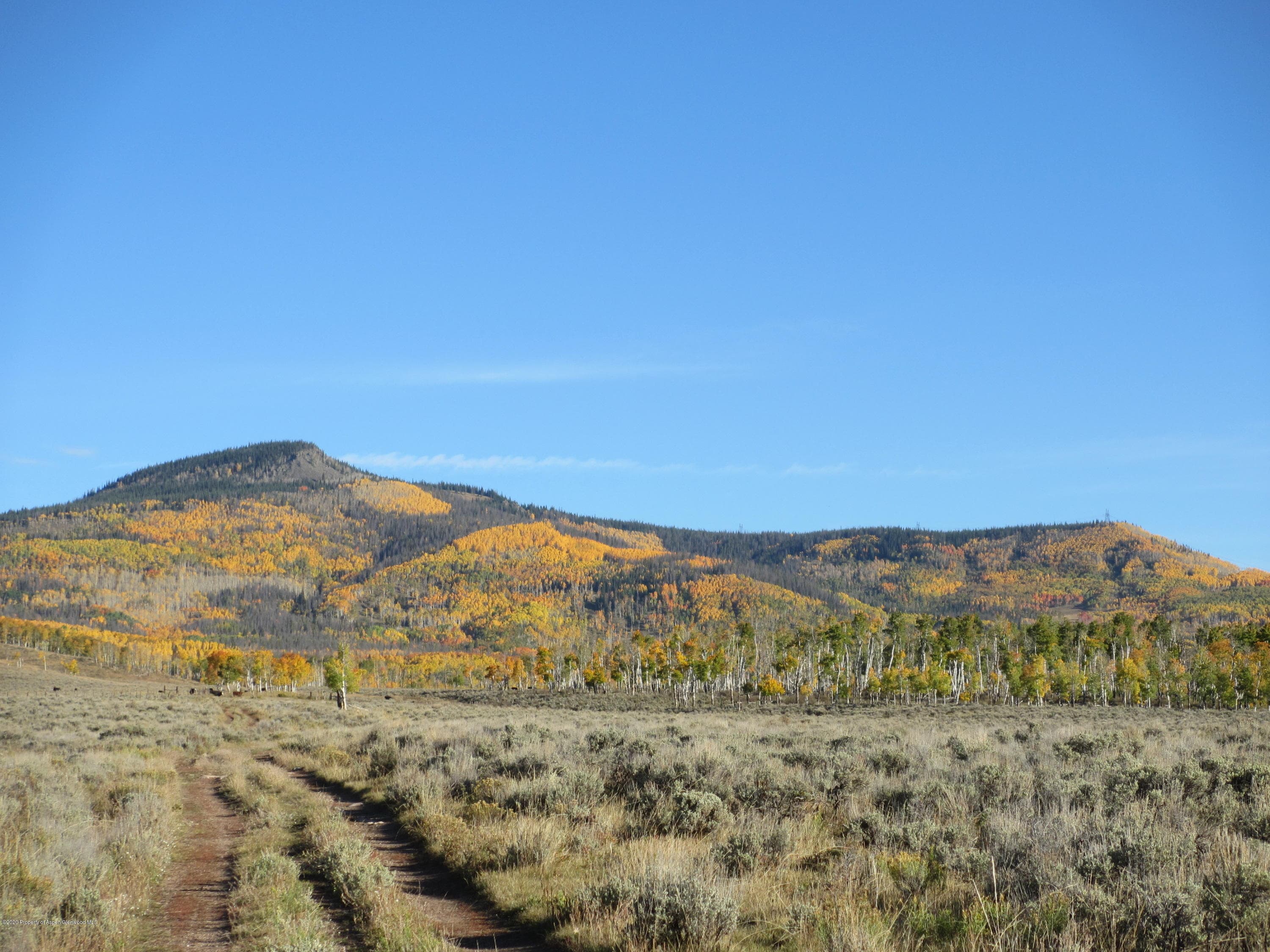 35470 State Highway 134, Toponas, CO 80479 - Photo 3