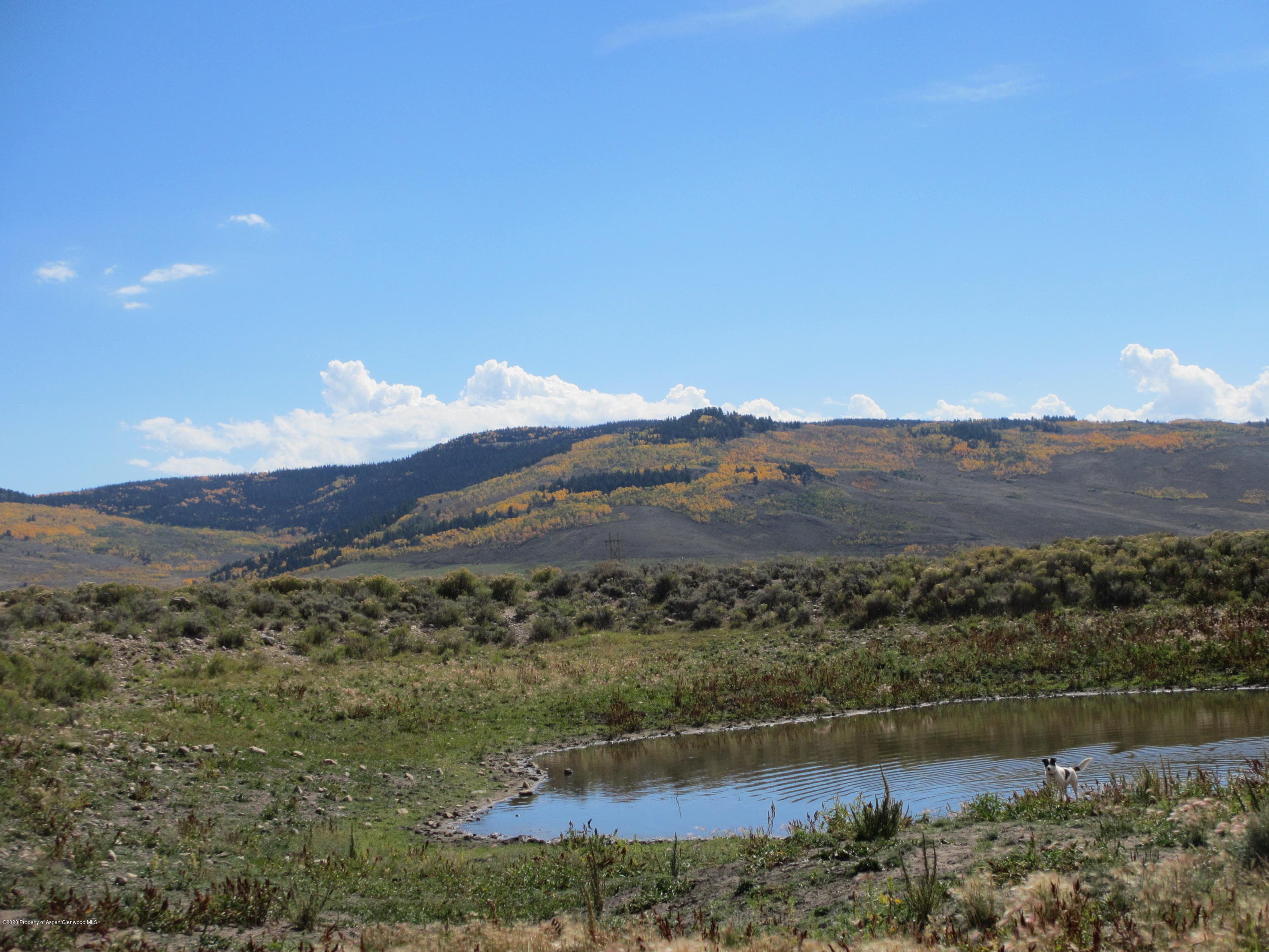35470 State Highway 134, Toponas, CO 80479 - Photo 4