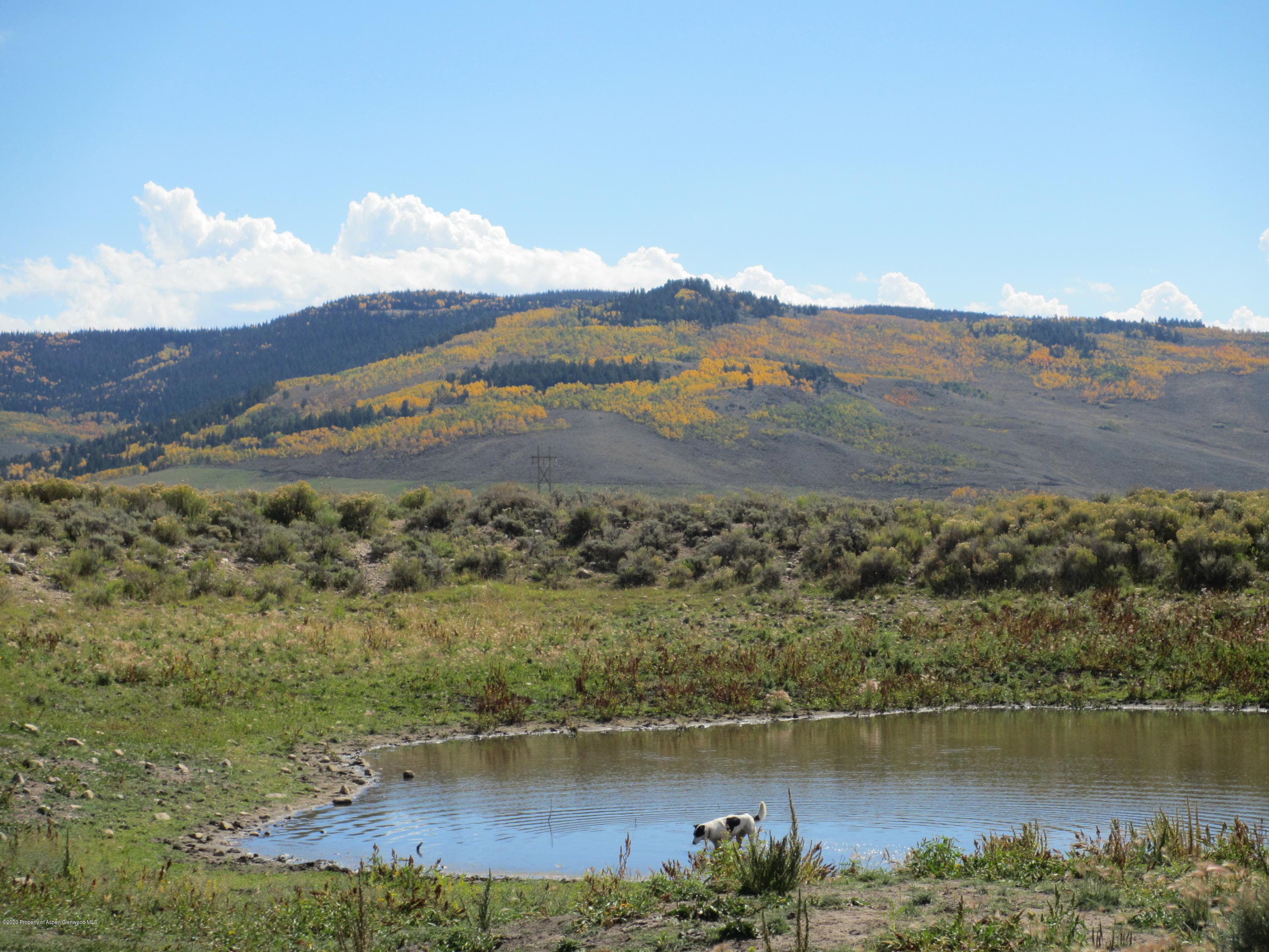 35470 State Highway 134, Toponas, CO 80479 - Photo 5