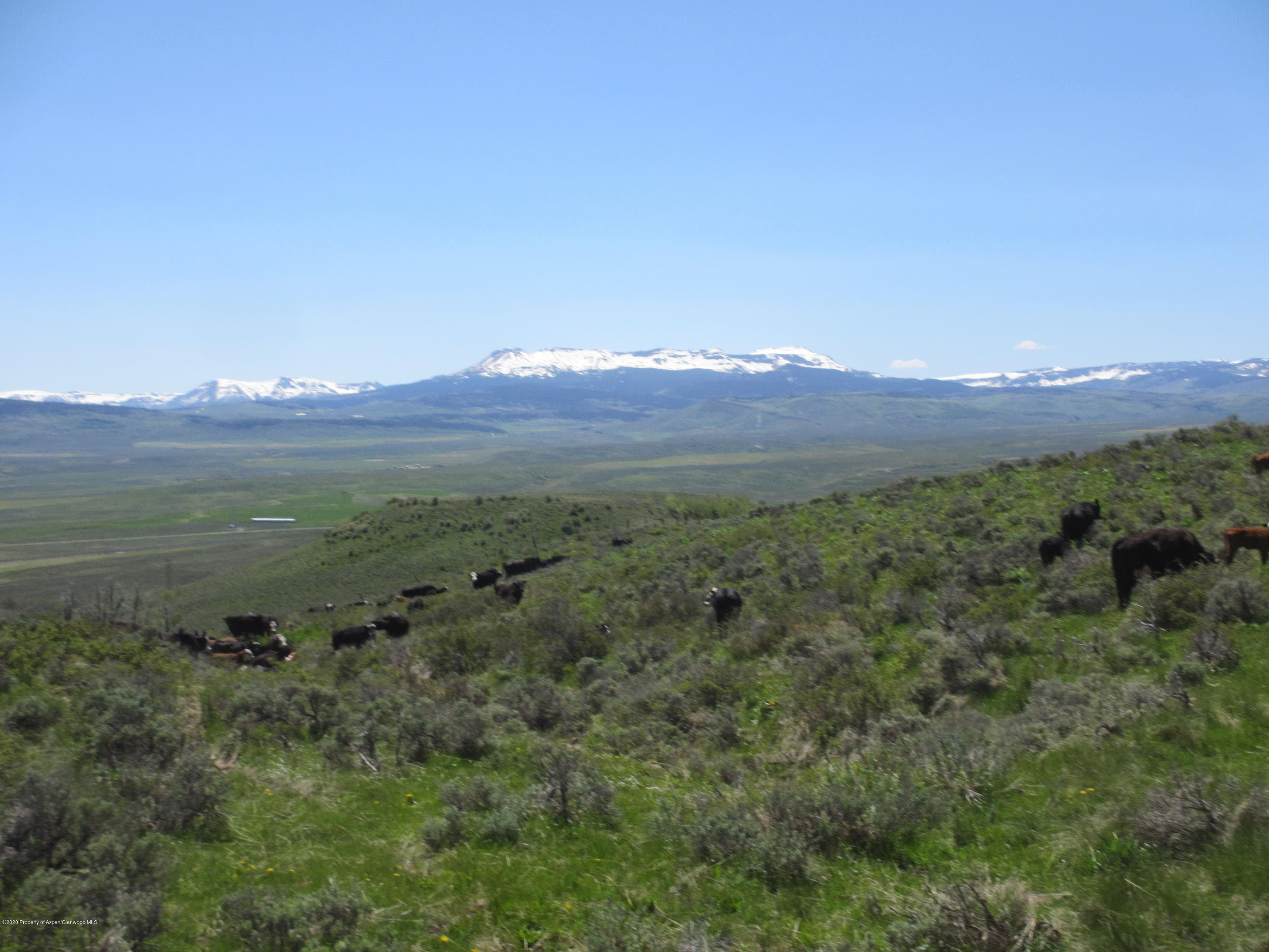 35470 State Highway 134, Toponas, CO 80479 - Photo 6