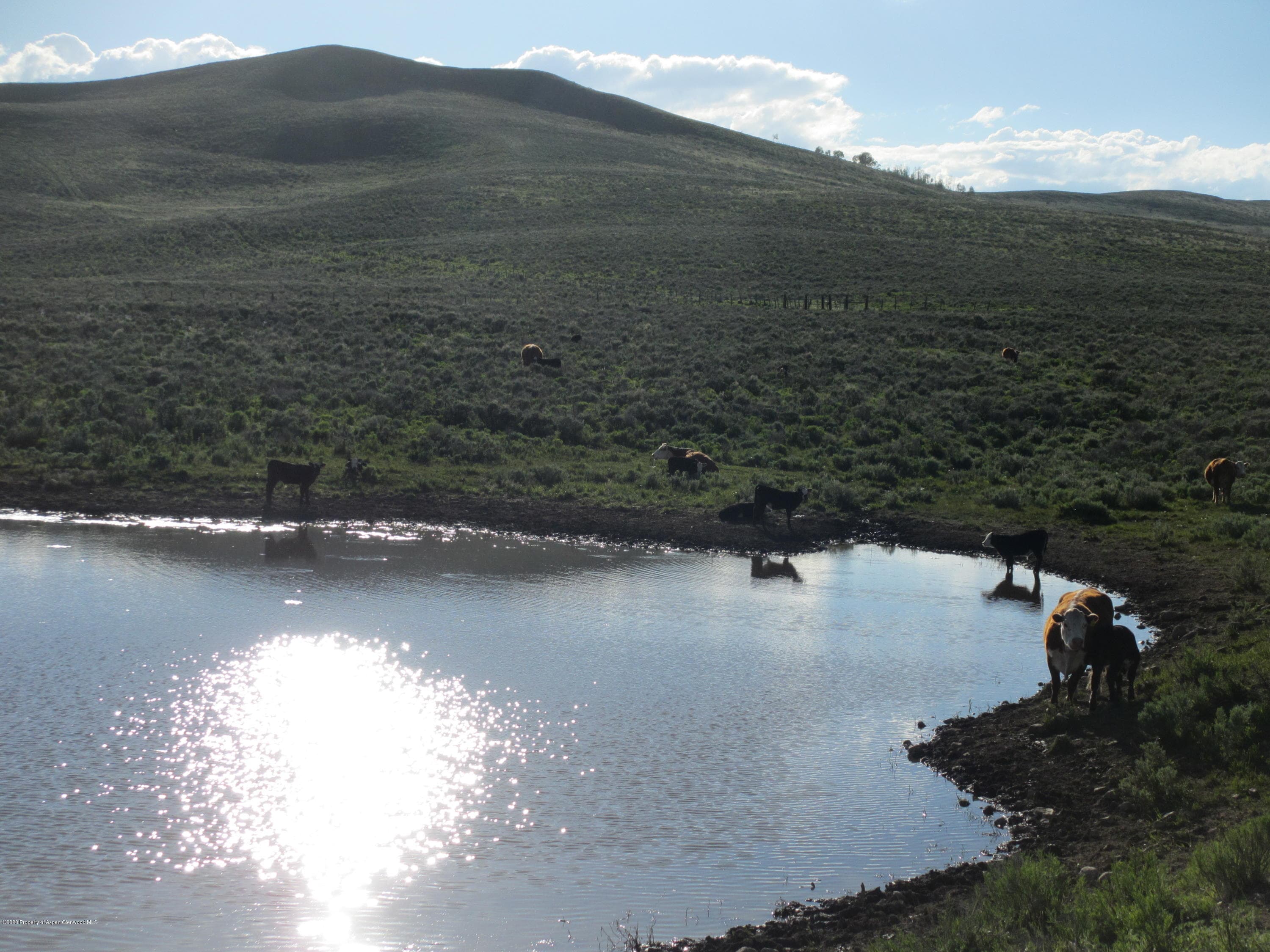 35470 State Highway 134, Toponas, CO 80479 - Photo 9