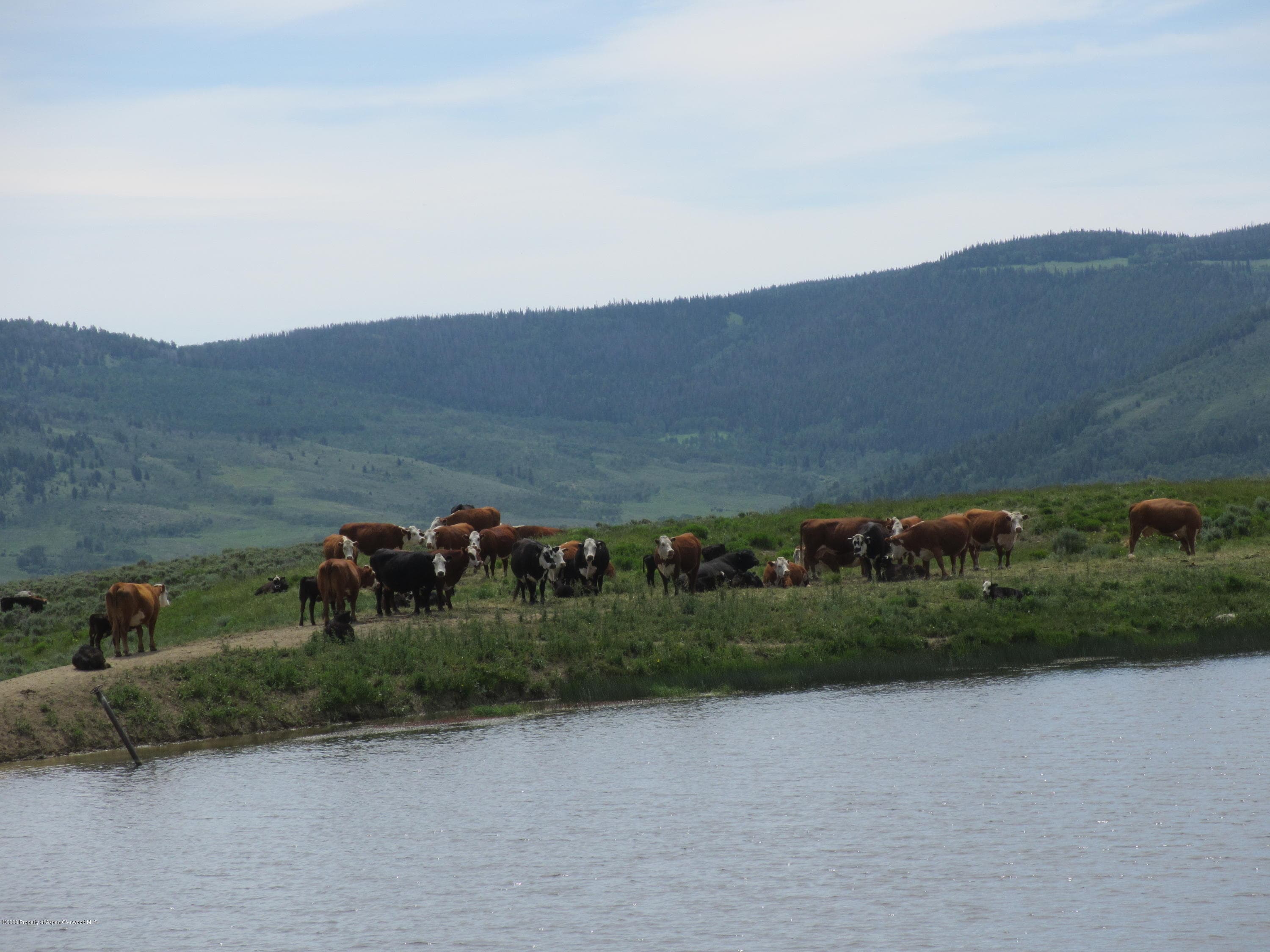 35470 State Highway 134, Toponas, CO 80479 - Photo 11