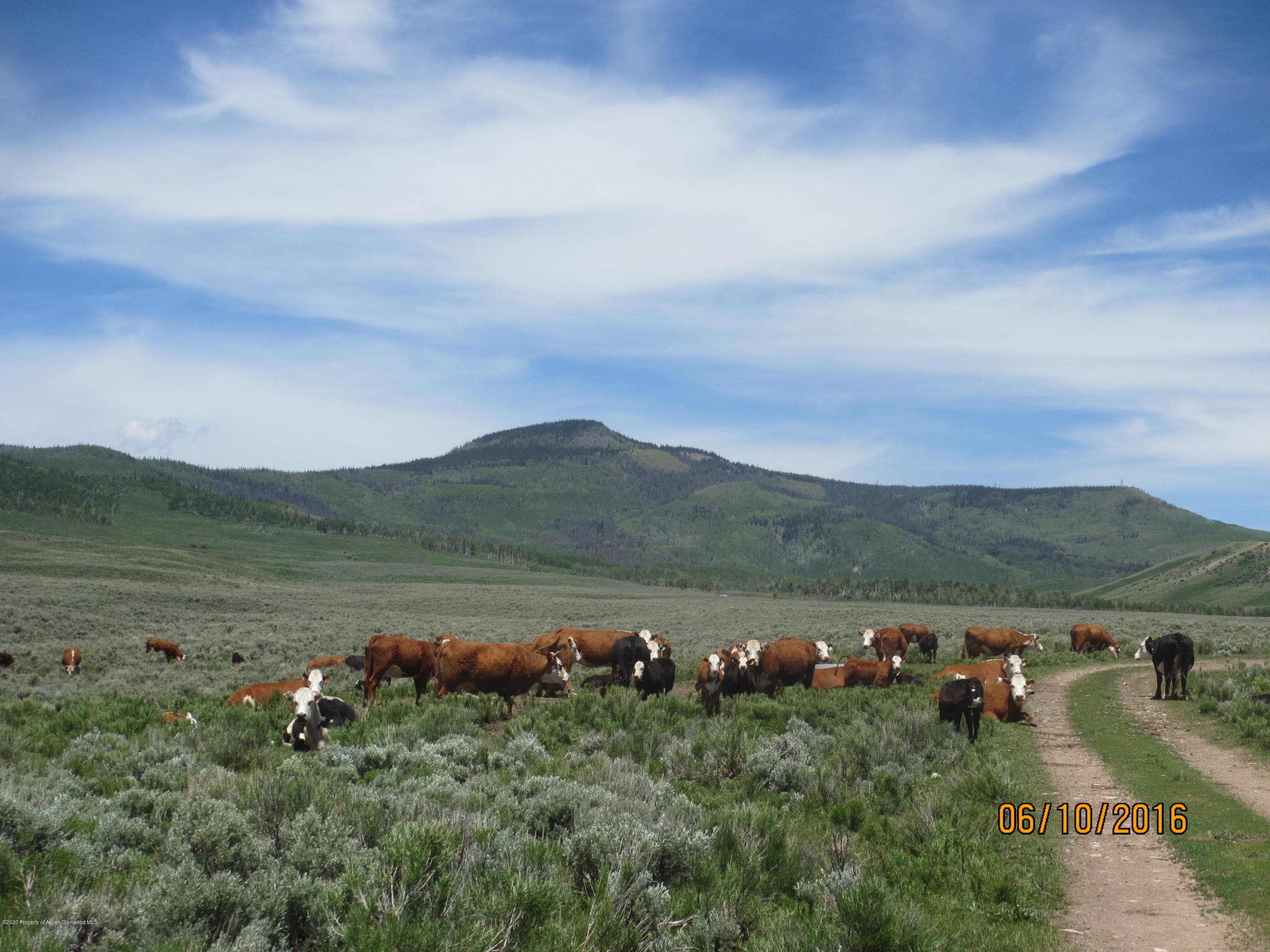 35470 State Highway 134, Toponas, CO 80479 - Photo 14