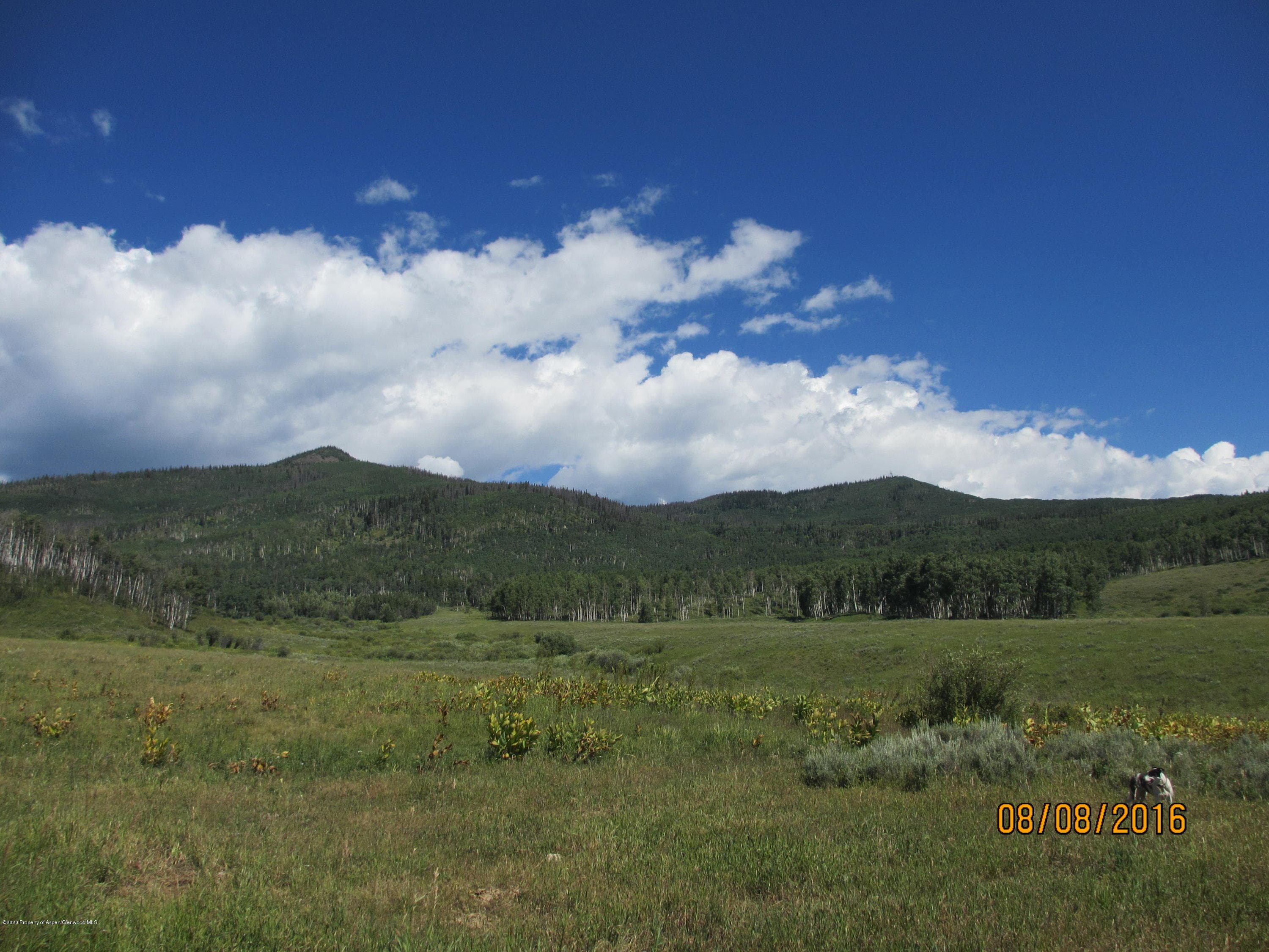 35470 State Highway 134, Toponas, CO 80479 - Photo 15