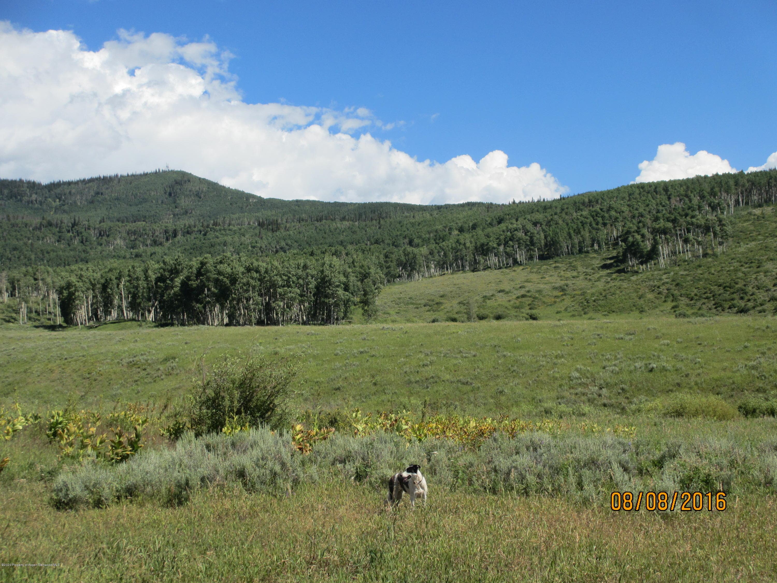 35470 State Highway 134, Toponas, CO 80479 - Photo 16