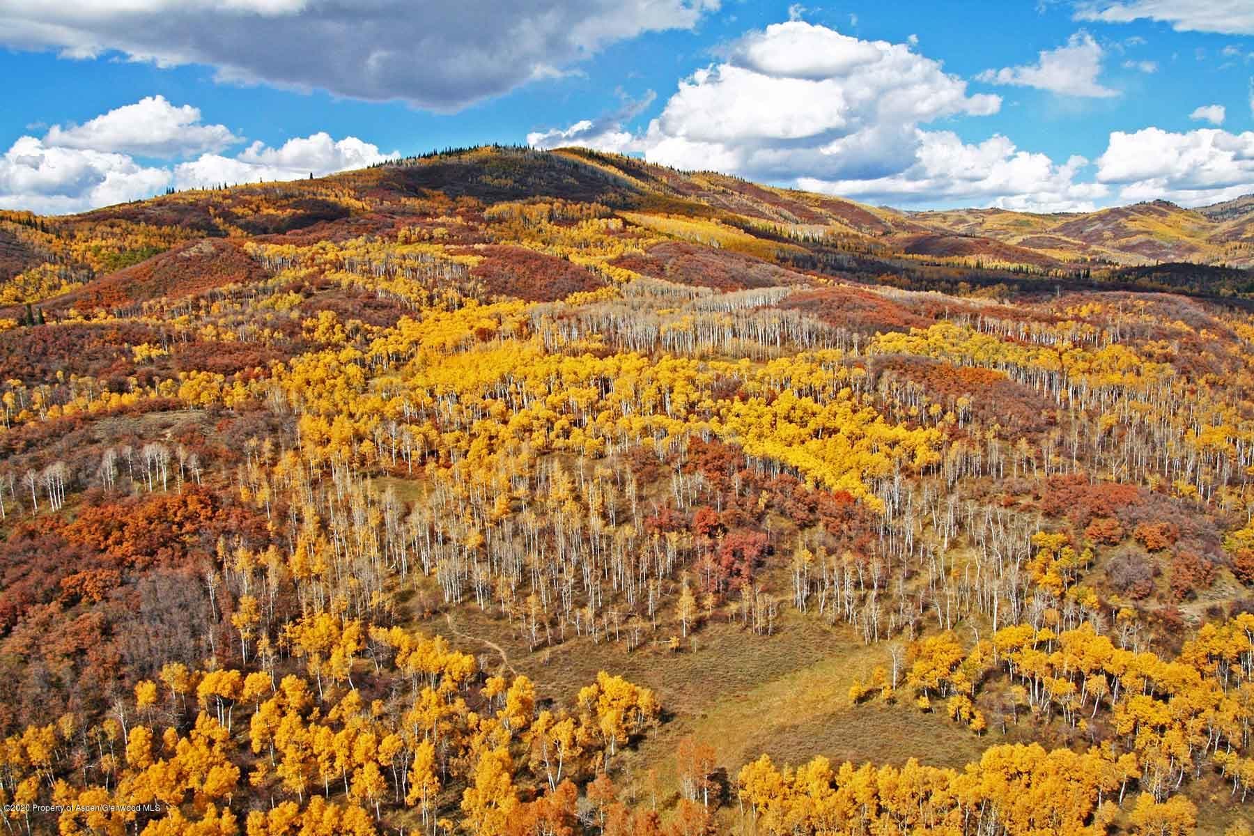 40875 County Road 36, Steamboat, CO 80487 - Photo 10