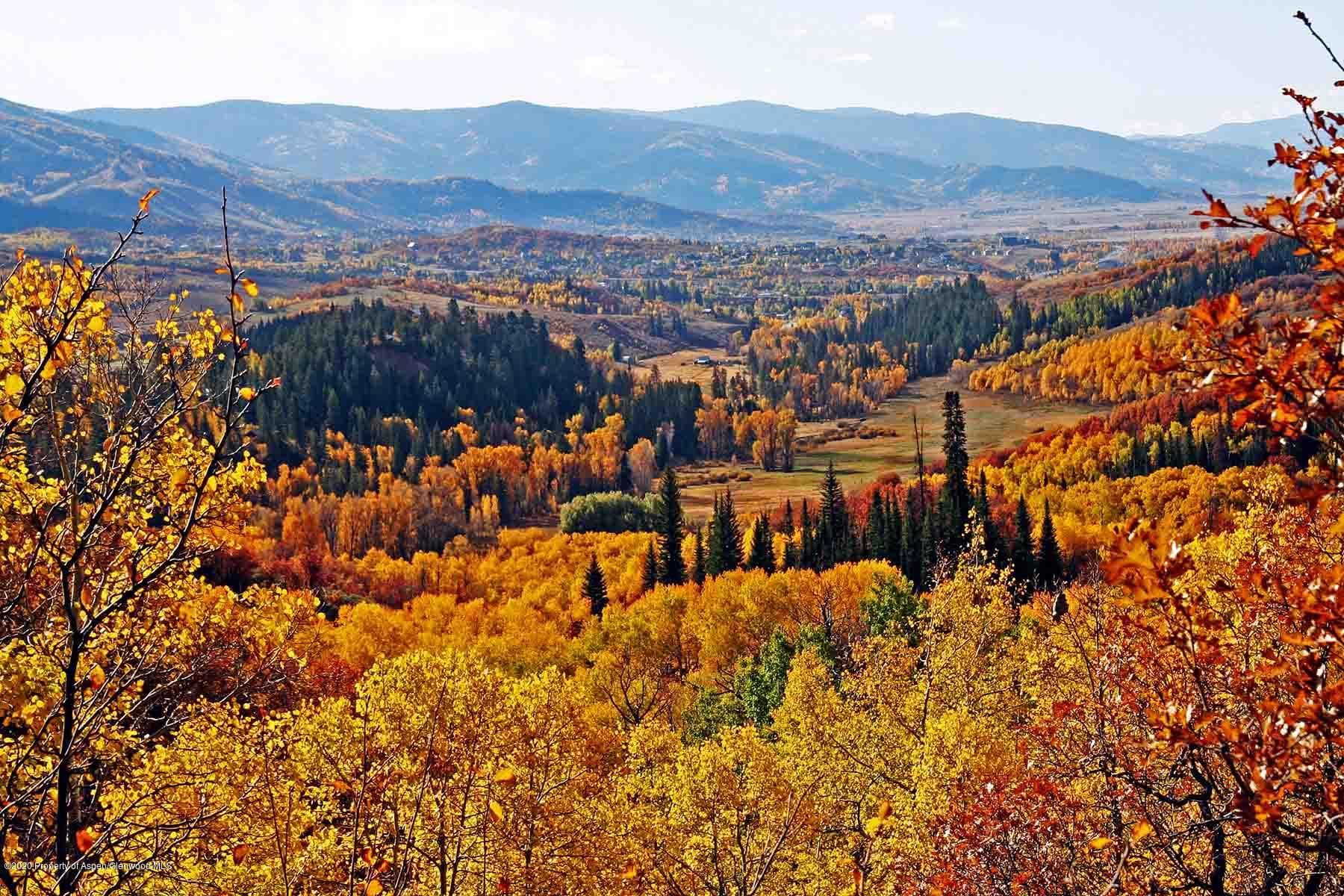 40875 County Road 36, Steamboat, CO 80487 - Photo 13