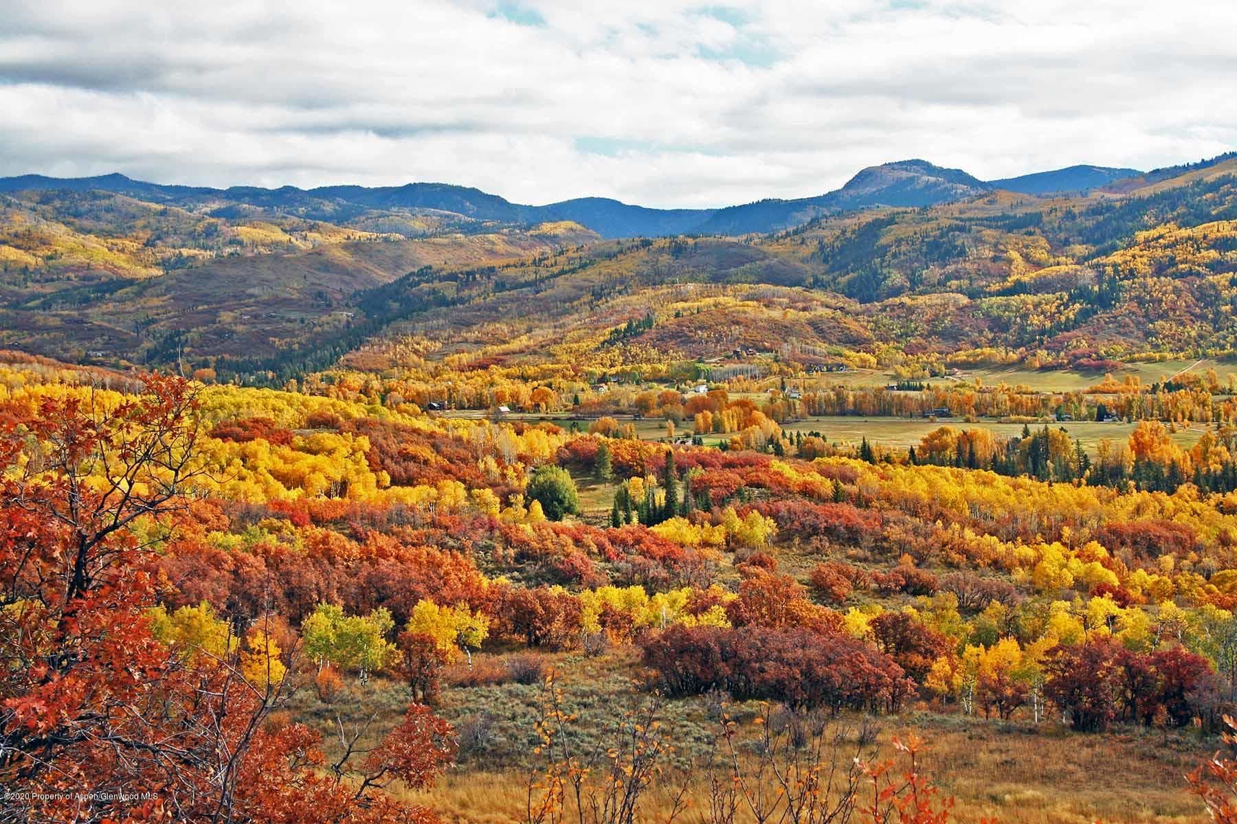 40875 County Road 36, Steamboat, CO 80487 - Photo 19