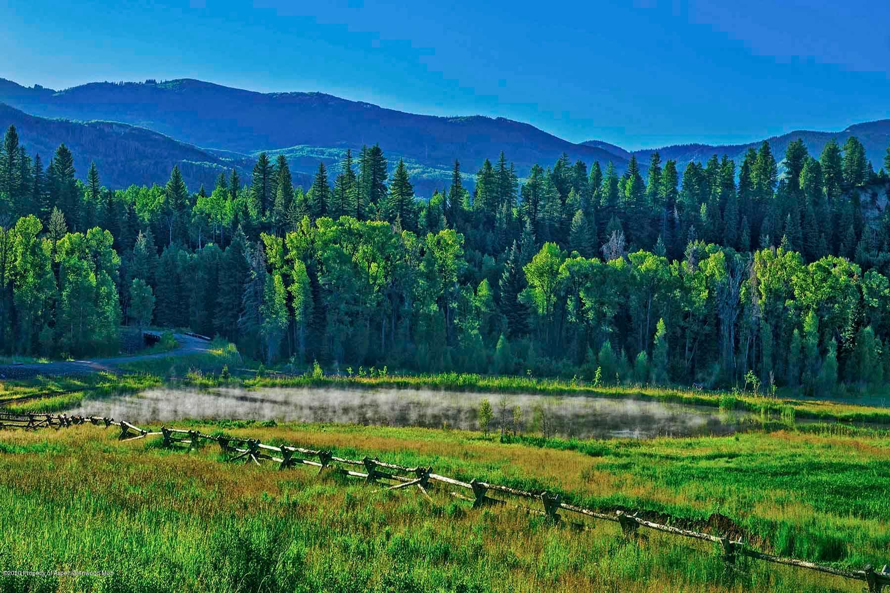 40875 County Road 36, Steamboat, CO 80487 - Photo 8