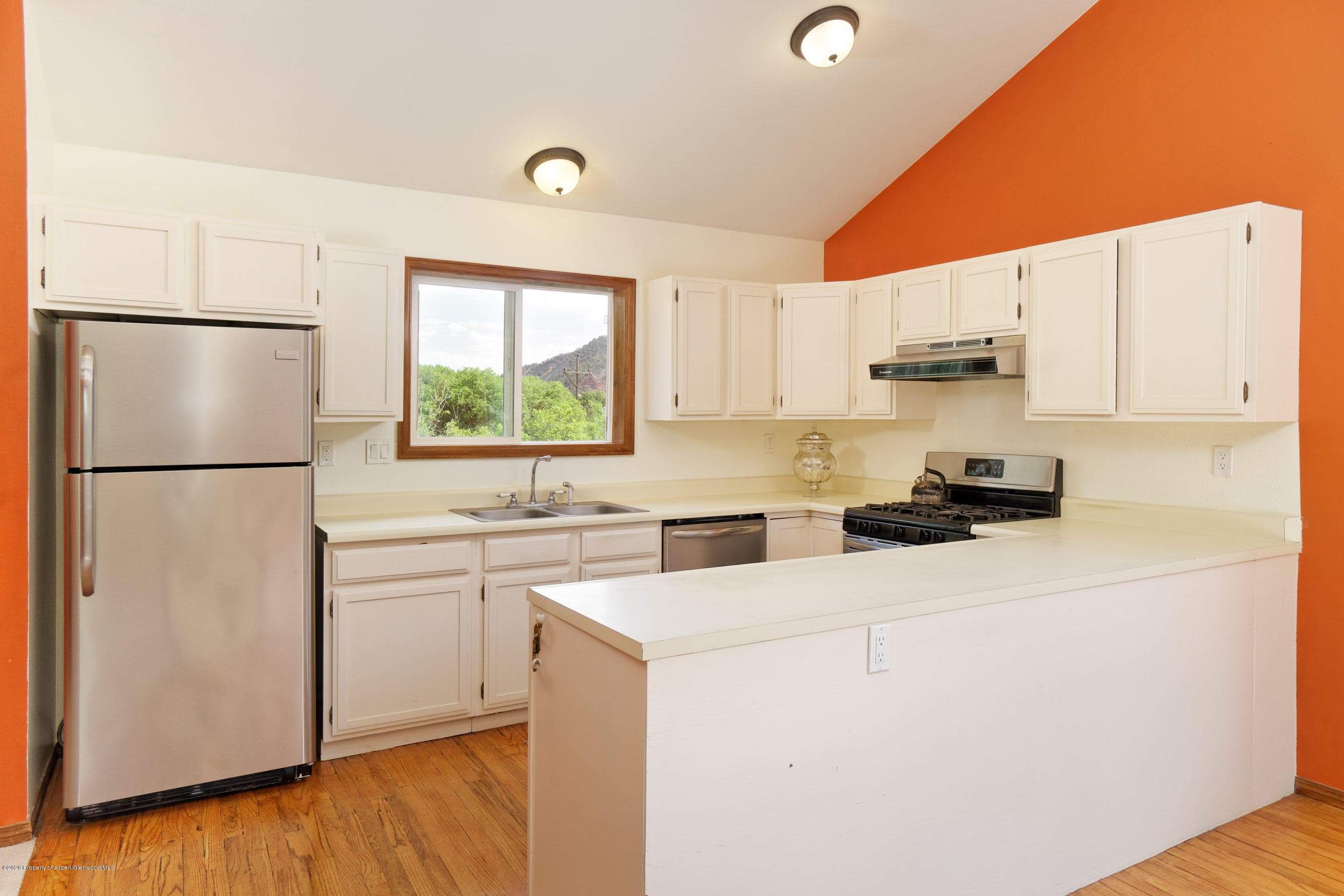 278 Red Dog Road, Carbondale, CO 81623 - Photo 13