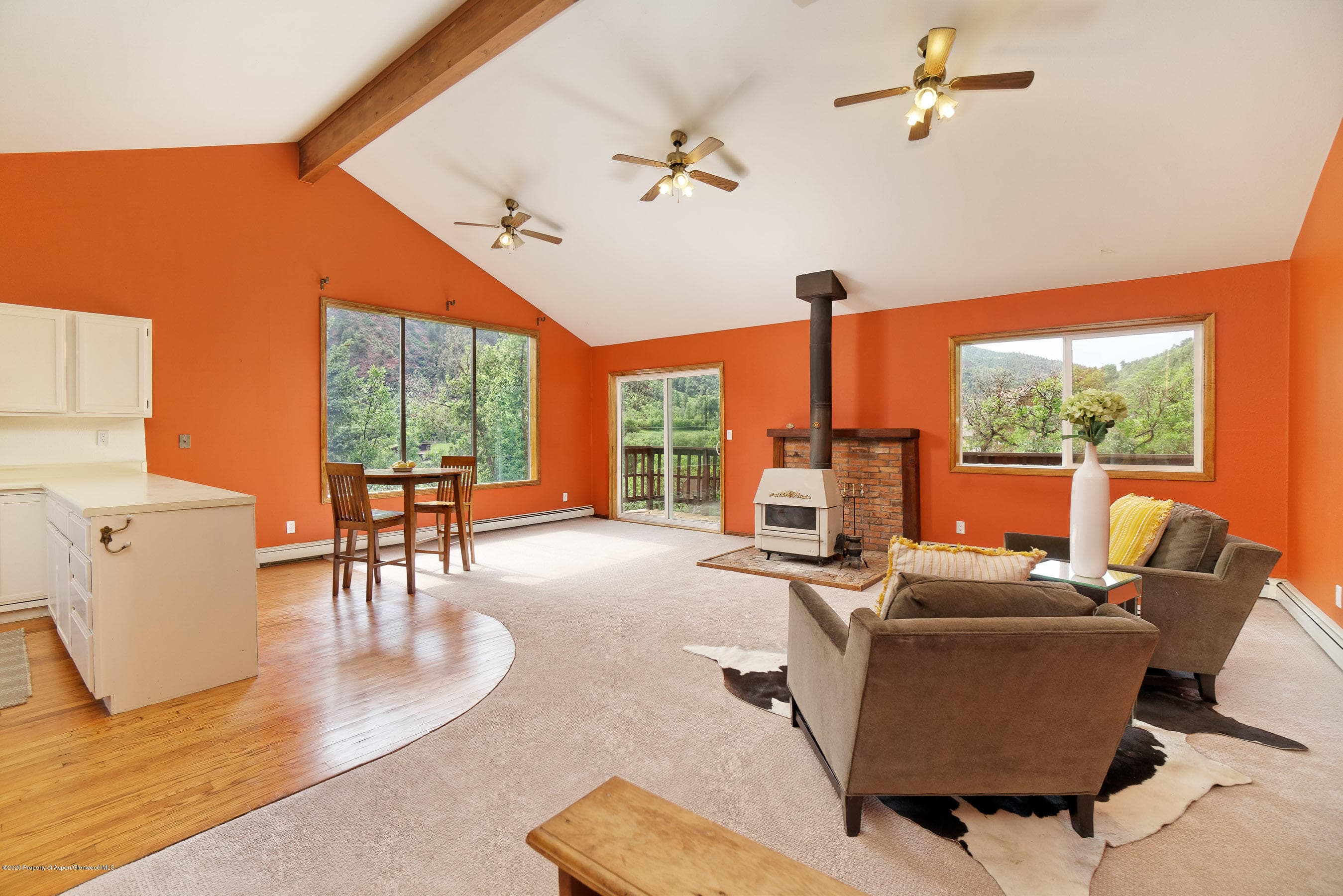 278 Red Dog Road, Carbondale, CO 81623 - Photo 9