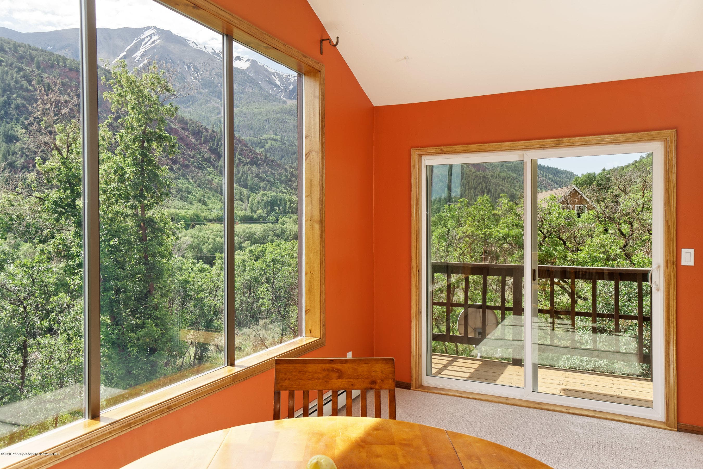278 Red Dog Road, Carbondale, CO 81623 - Photo 7