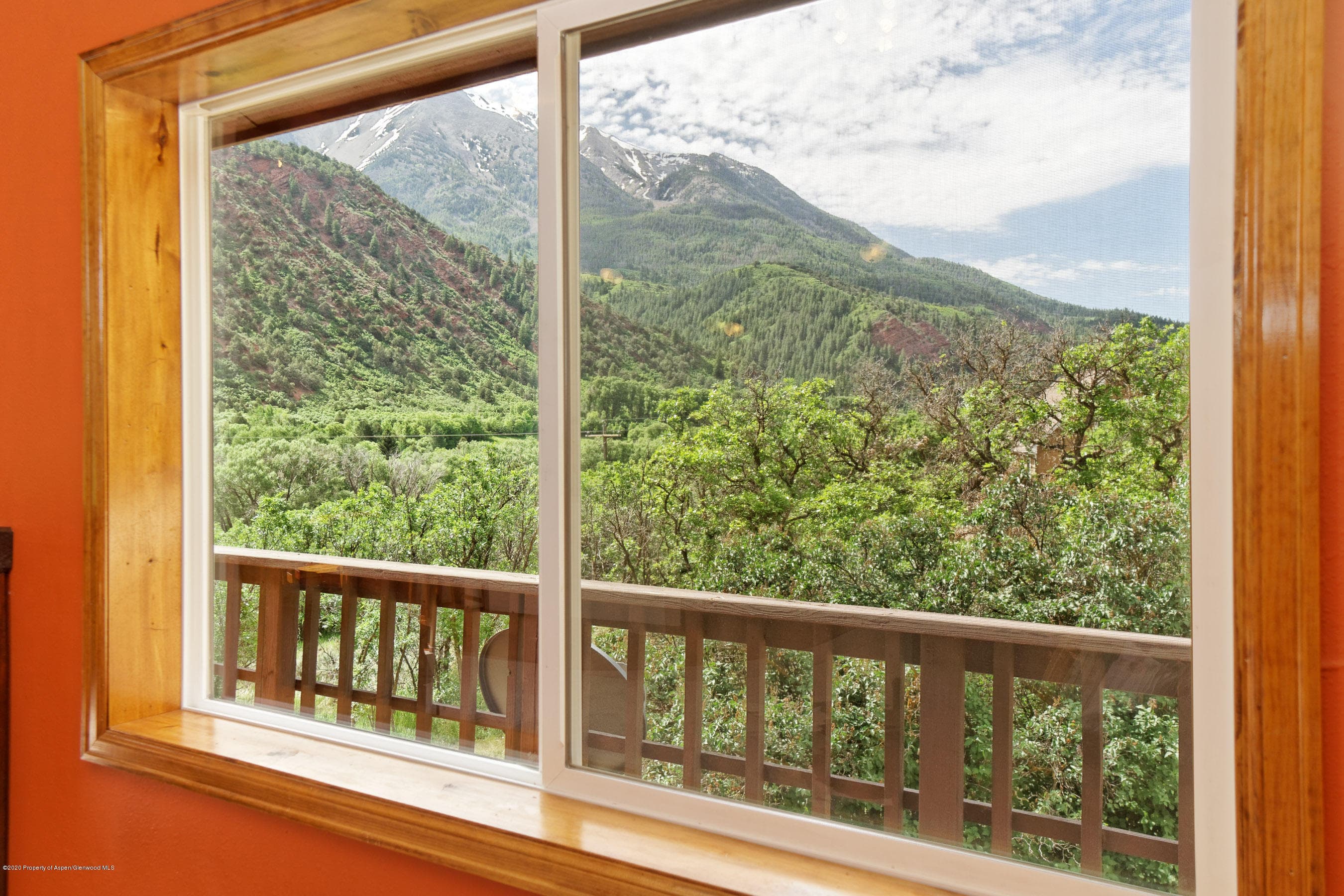 278 Red Dog Road, Carbondale, CO 81623 - Photo 6