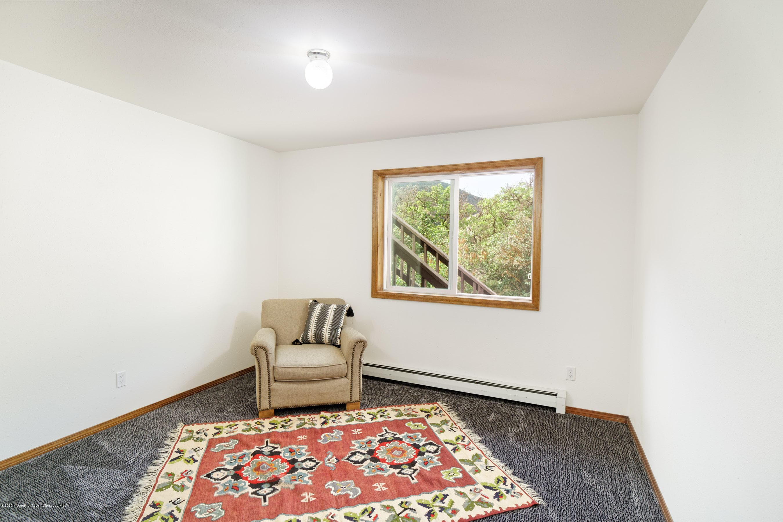 278 Red Dog Road, Carbondale, CO 81623 - Photo 16