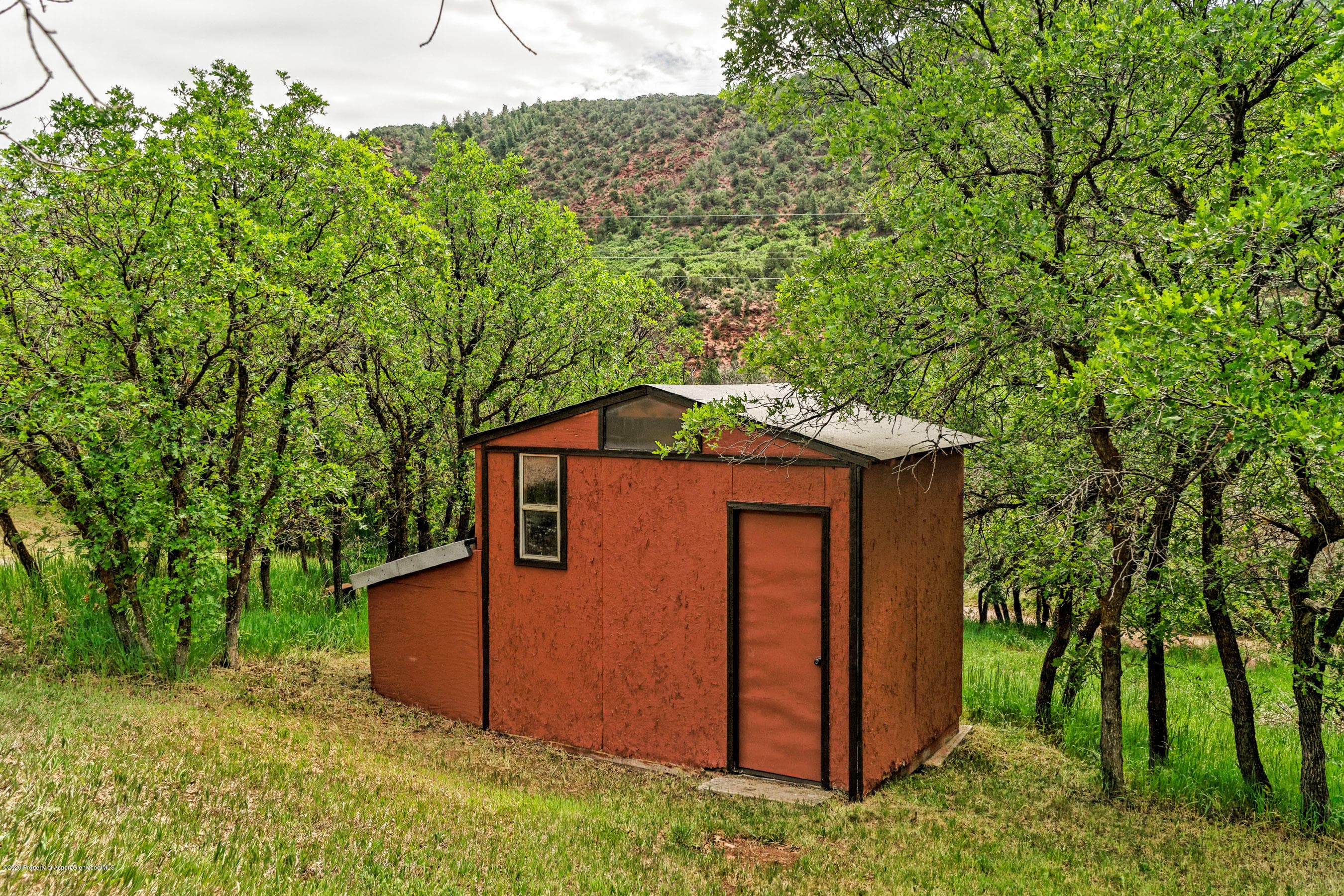 278 Red Dog Road, Carbondale, CO 81623 - Photo 24