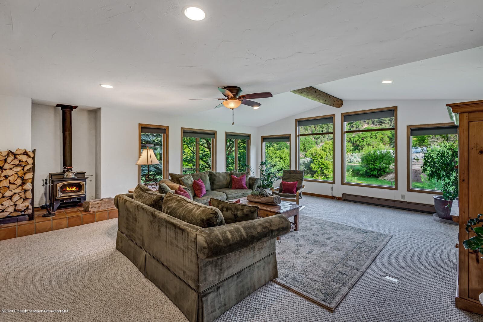 1164 County Road 113, Carbondale, CO 81623 - Photo 7