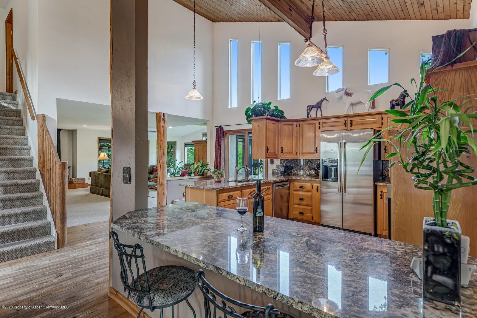 1164 County Road 113, Carbondale, CO 81623 - Photo 8