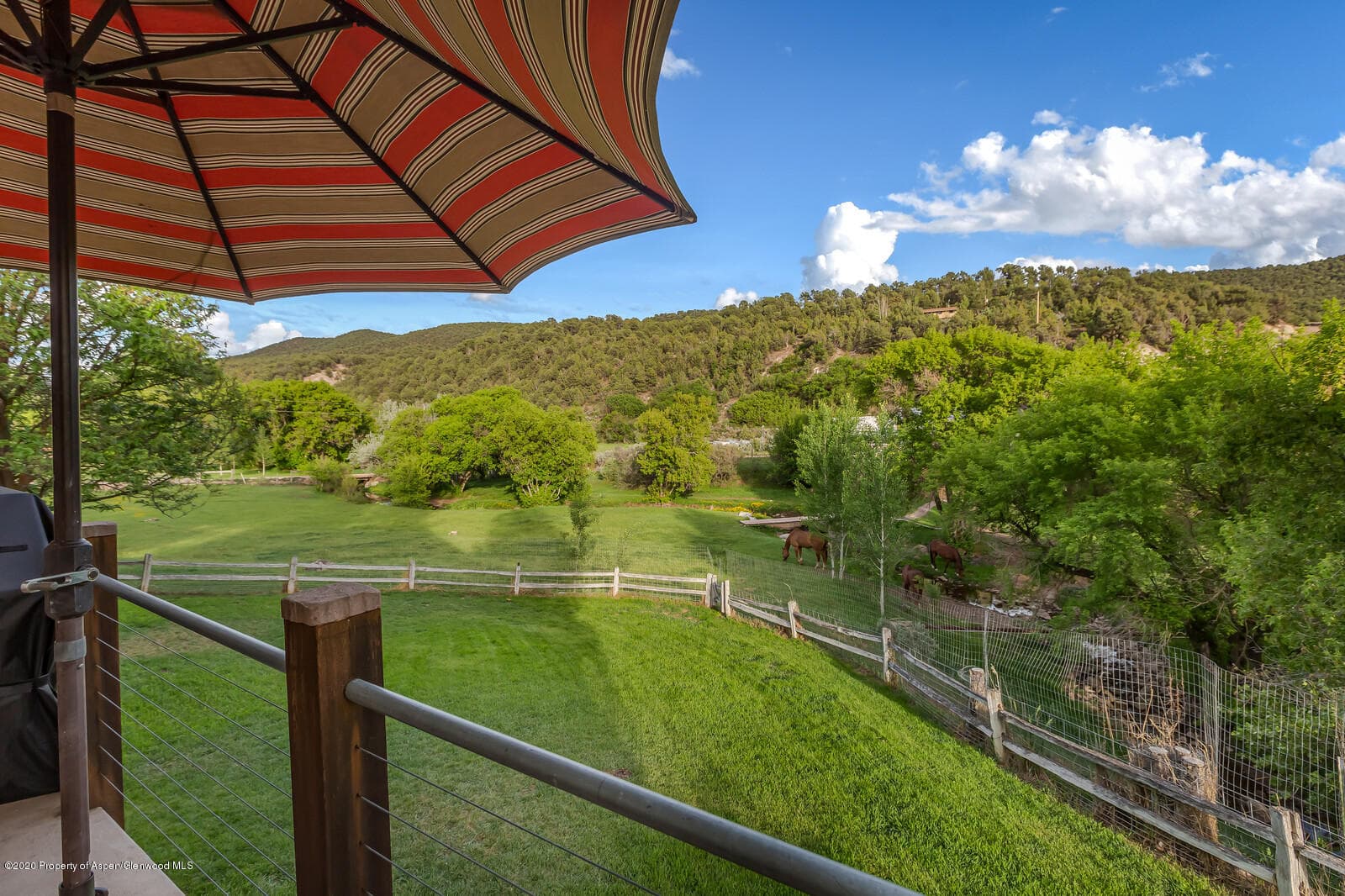1164 County Road 113, Carbondale, CO 81623 - Photo 22