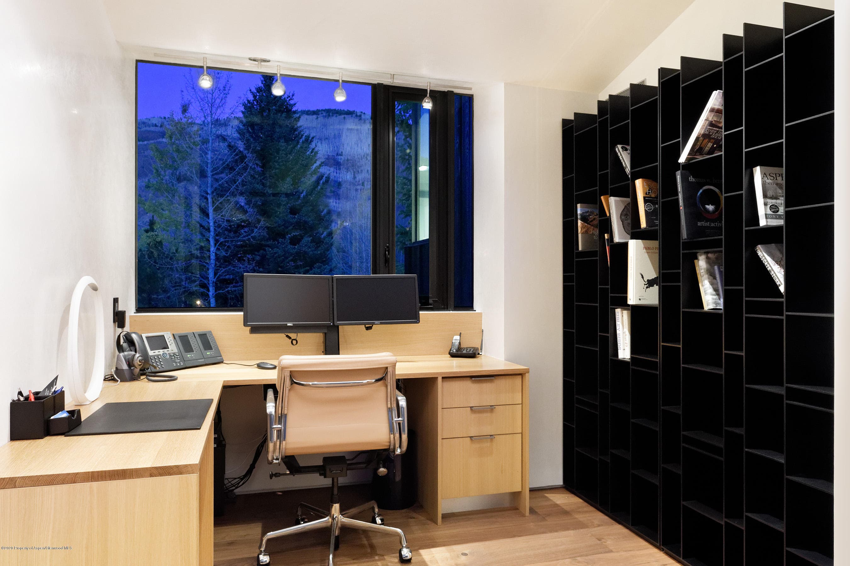 1118 Waters Avenue, Aspen, CO 81611 - Photo 27