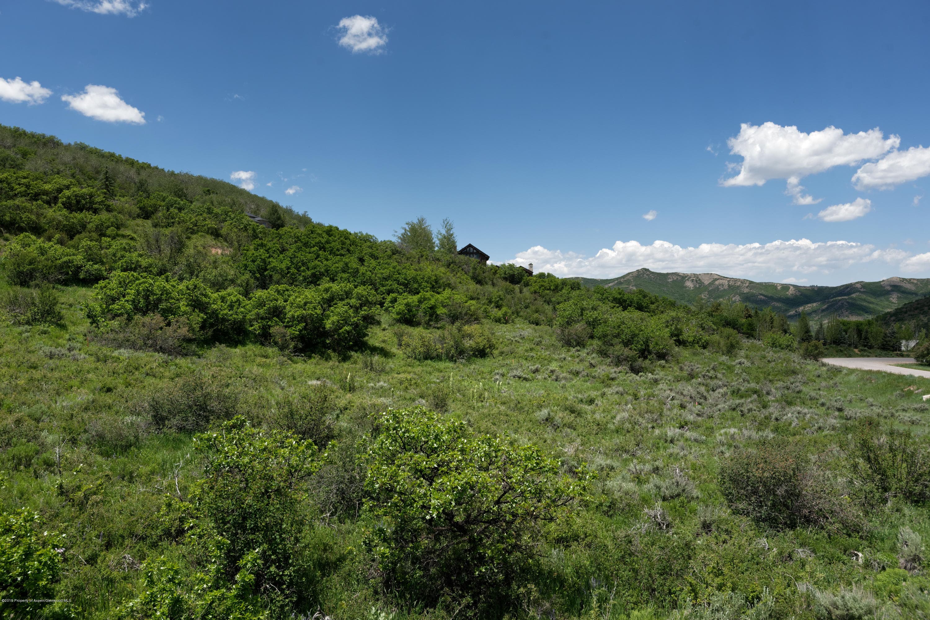 TBD W Buttermilk Road, Aspen, CO 81611 - Photo 9