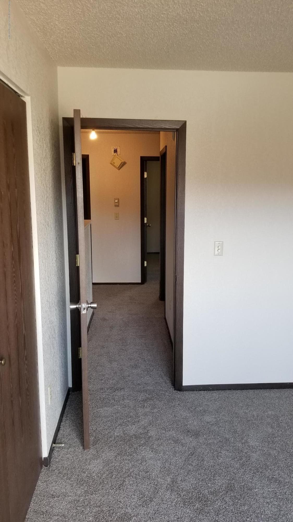 924 W 24th Street, Rifle, CO 81650 - Photo 9