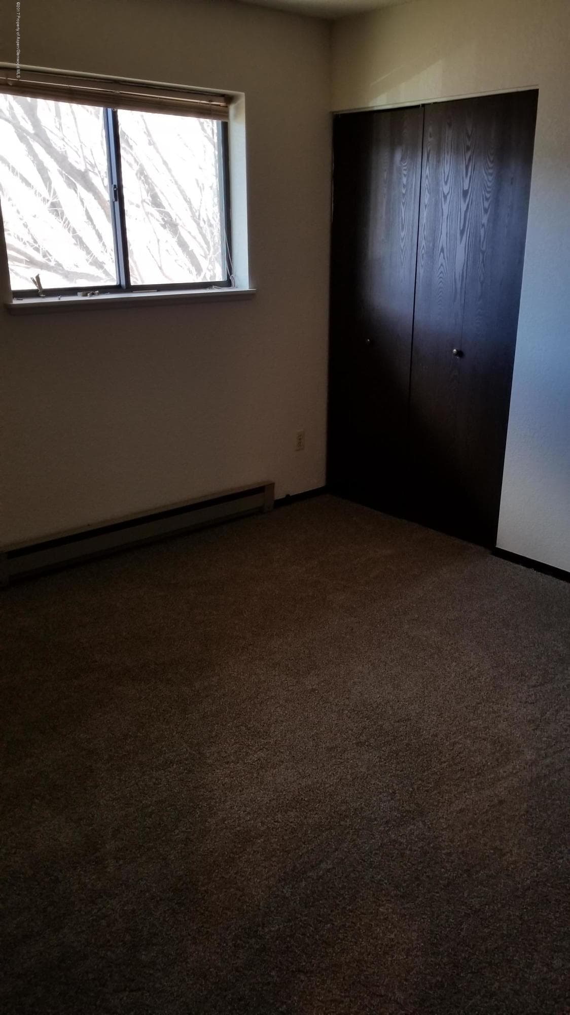 924 W 24th Street, Rifle, CO 81650 - Photo 10
