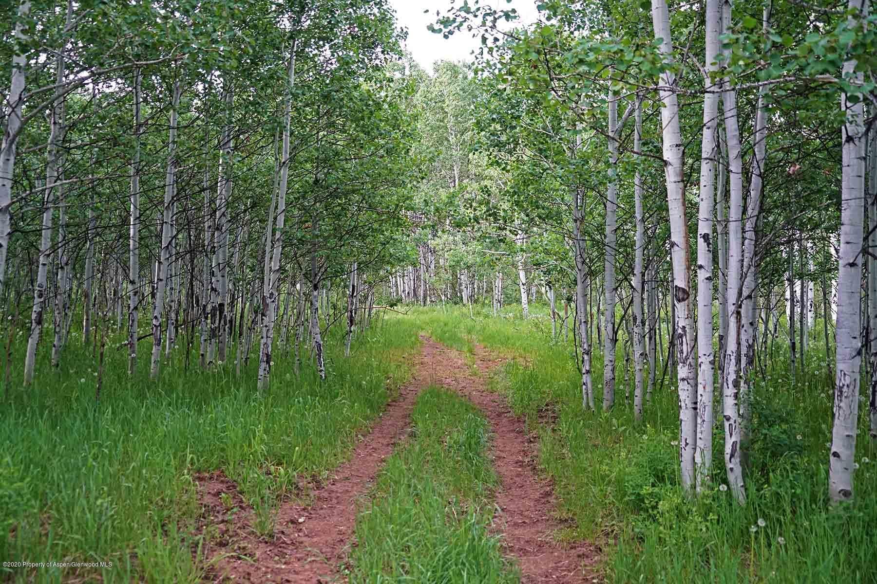 40875 County Road 36, Steamboat, CO 80487 - Photo 15