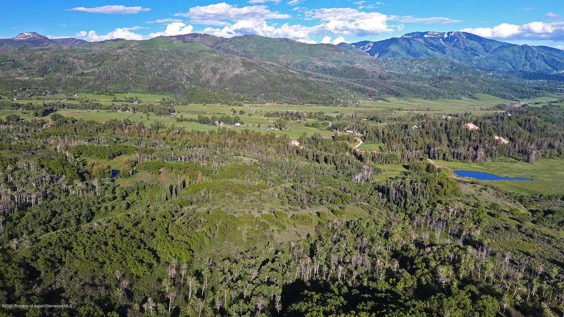 40875 County Road 36, Steamboat, CO 80487 - Photo 5