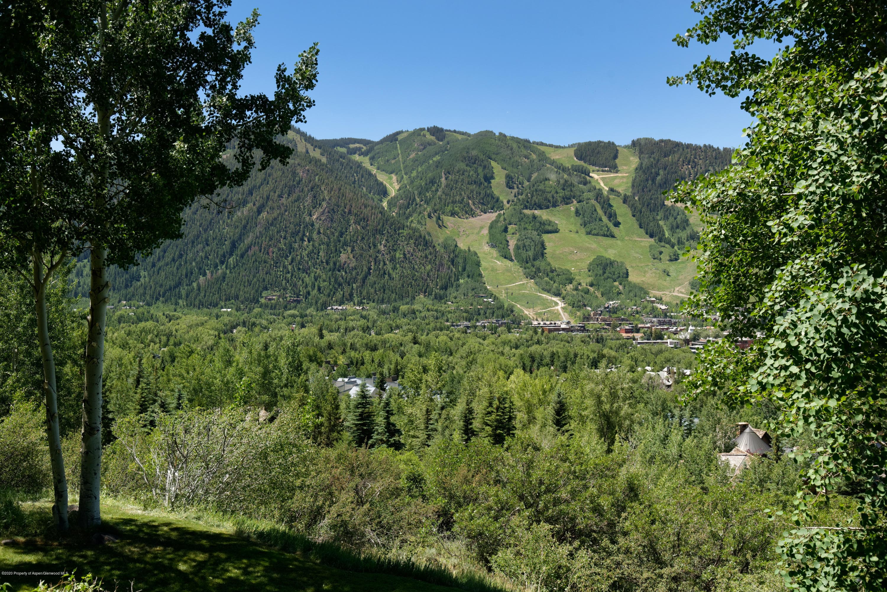 711 Spruce Street, Aspen, CO 81611 - Photo 7
