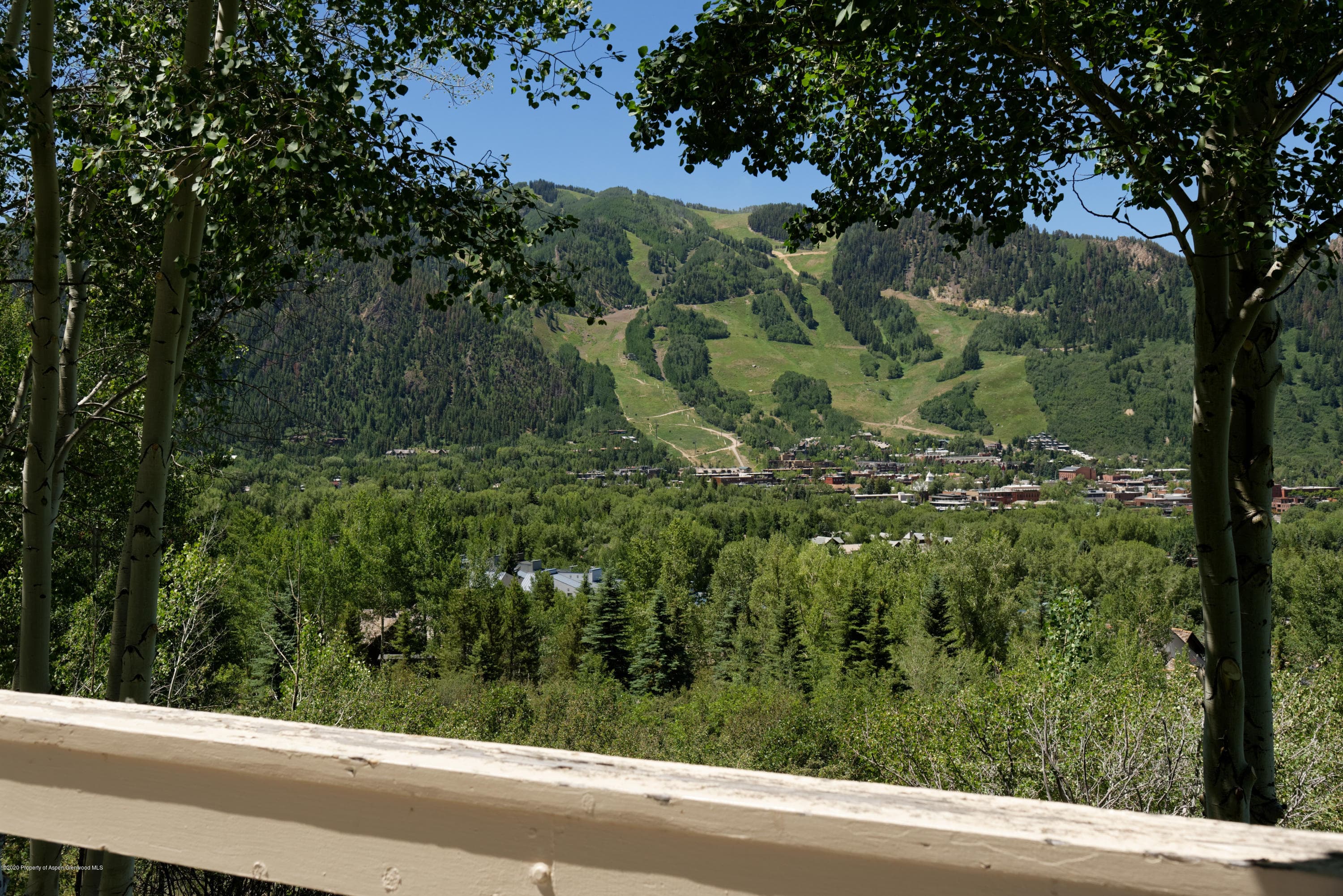 711 Spruce Street, Aspen, CO 81611 - Photo 12