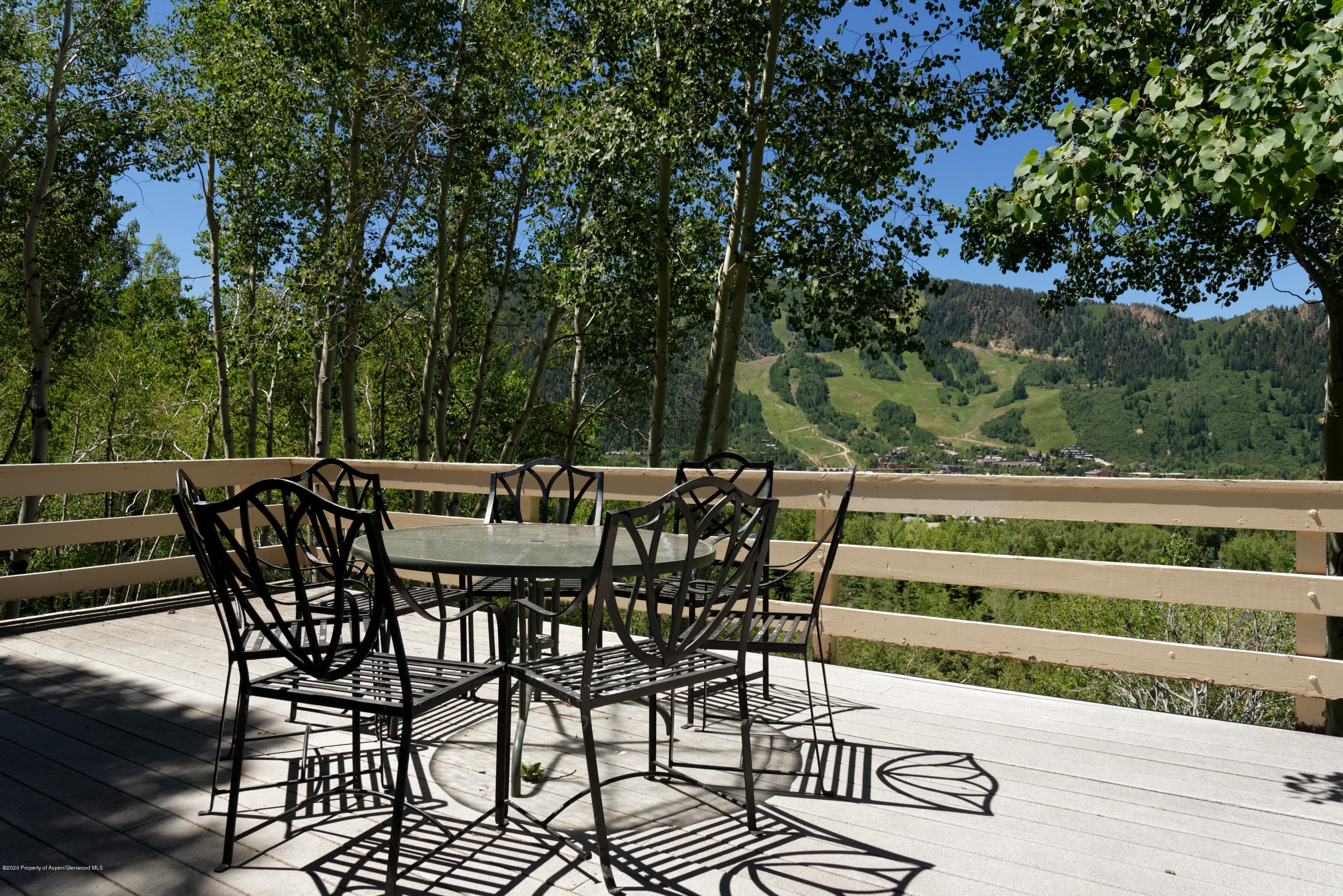 711 Spruce Street, Aspen, CO 81611 - Photo 13