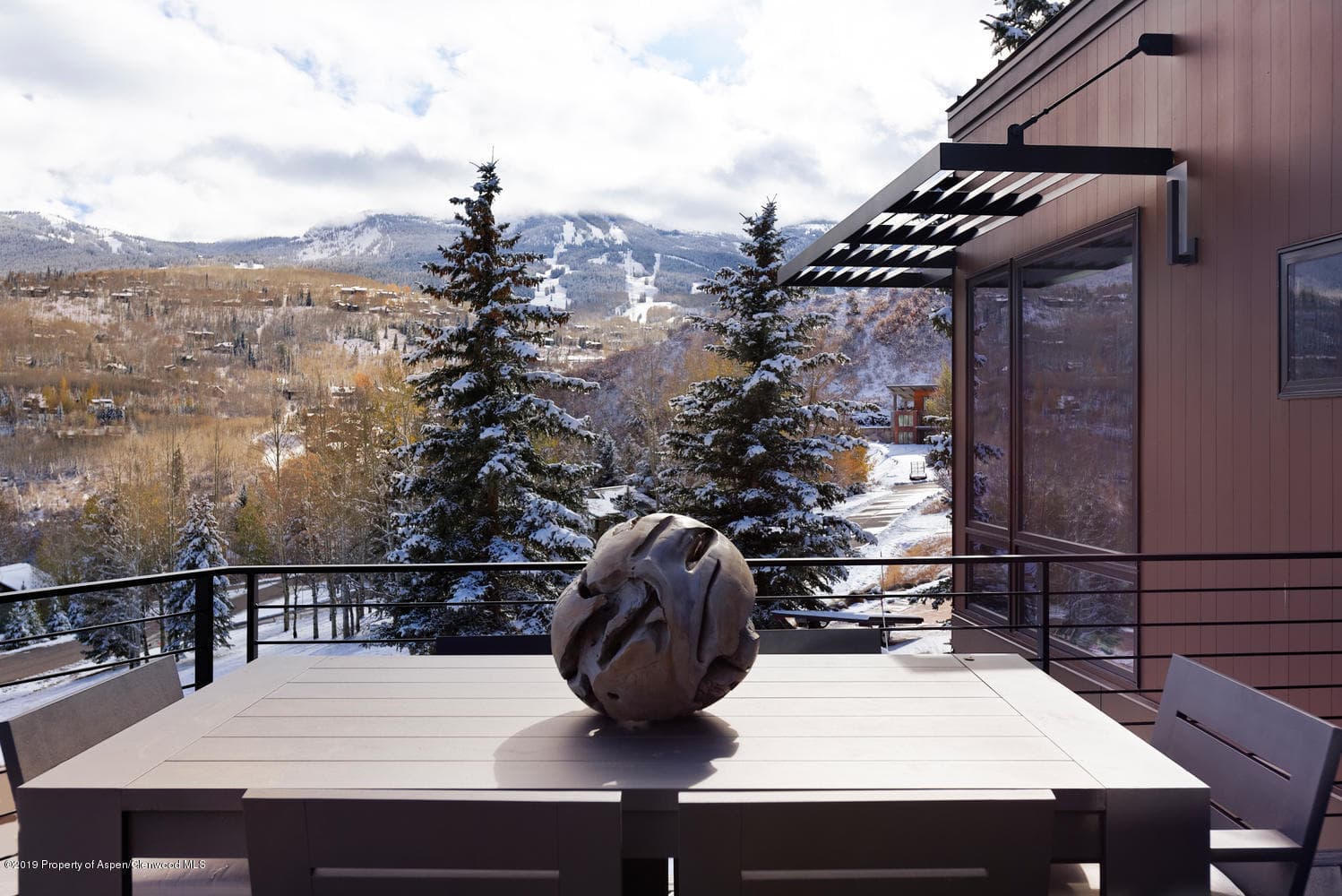 365 Terrace Drive, Snowmass Village, CO 81615 - Photo 28