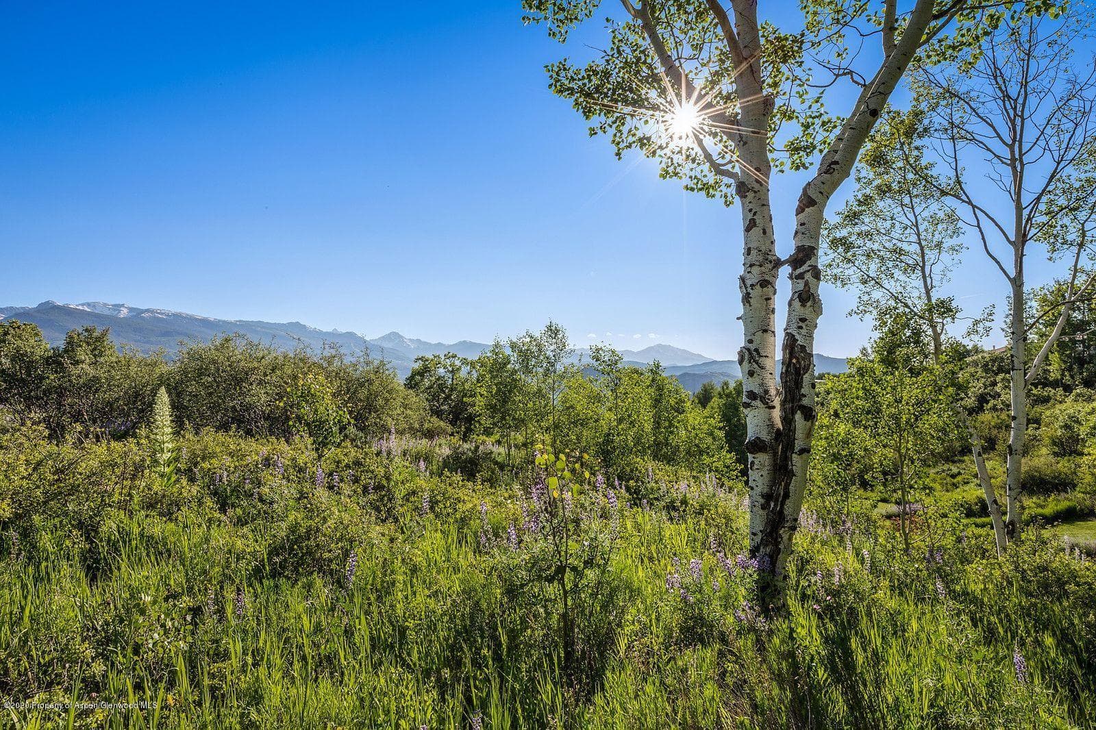 277 Danielson Drive, Aspen, CO 81611 - Photo 4