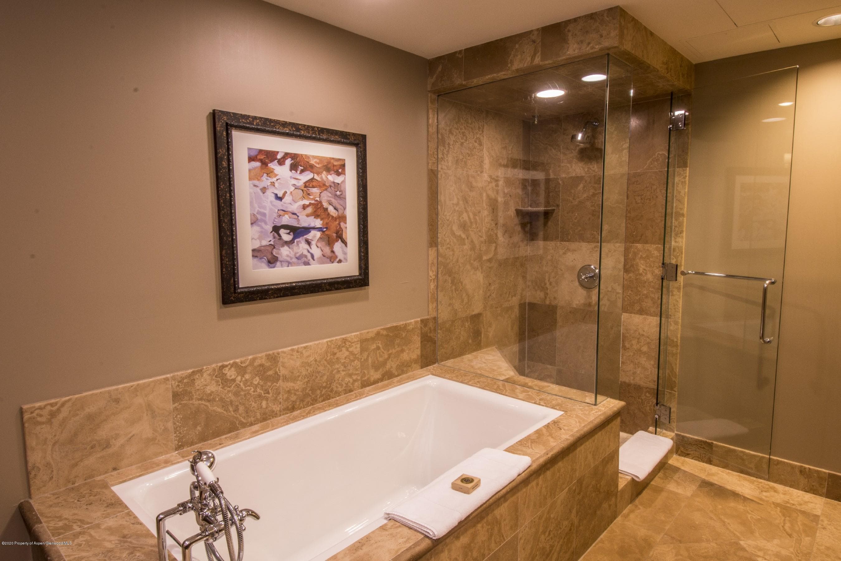 415 E Dean Street Unit 36 Week 26, Aspen, CO 81611 - Photo 9