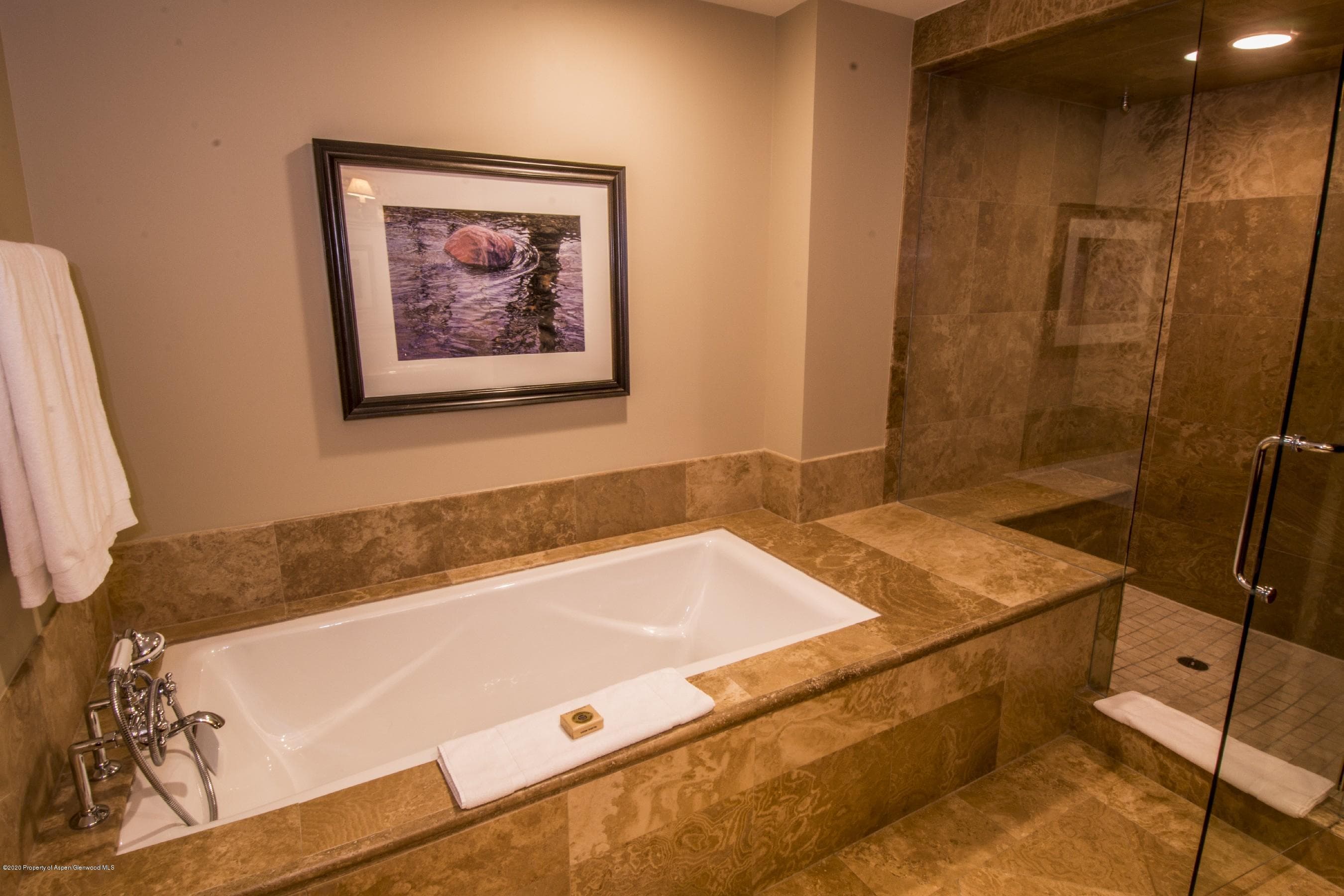415 E Dean Street Unit 36 Week 26, Aspen, CO 81611 - Photo 13