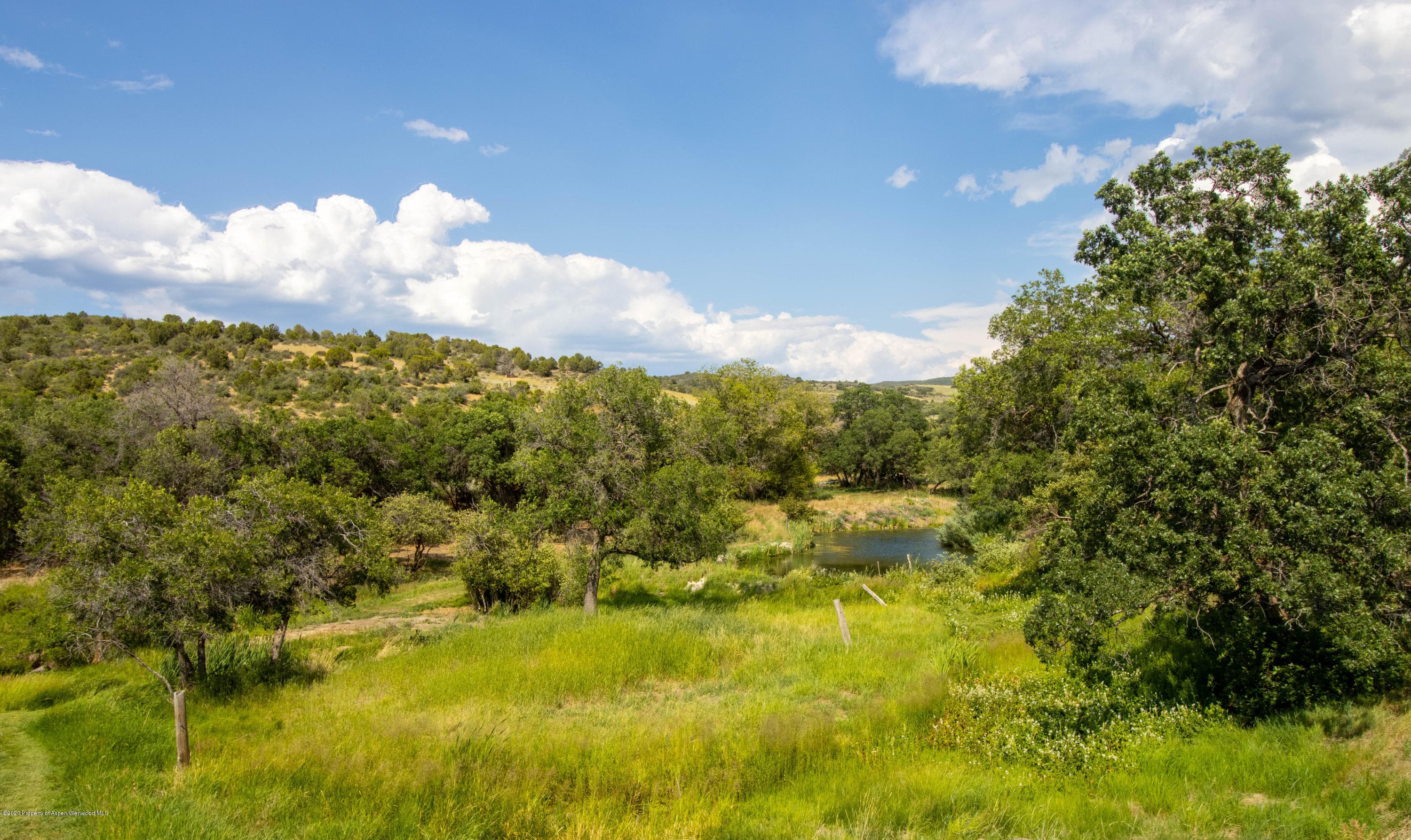 6642 County Road 312, New Castle, CO 81647 - Photo 23