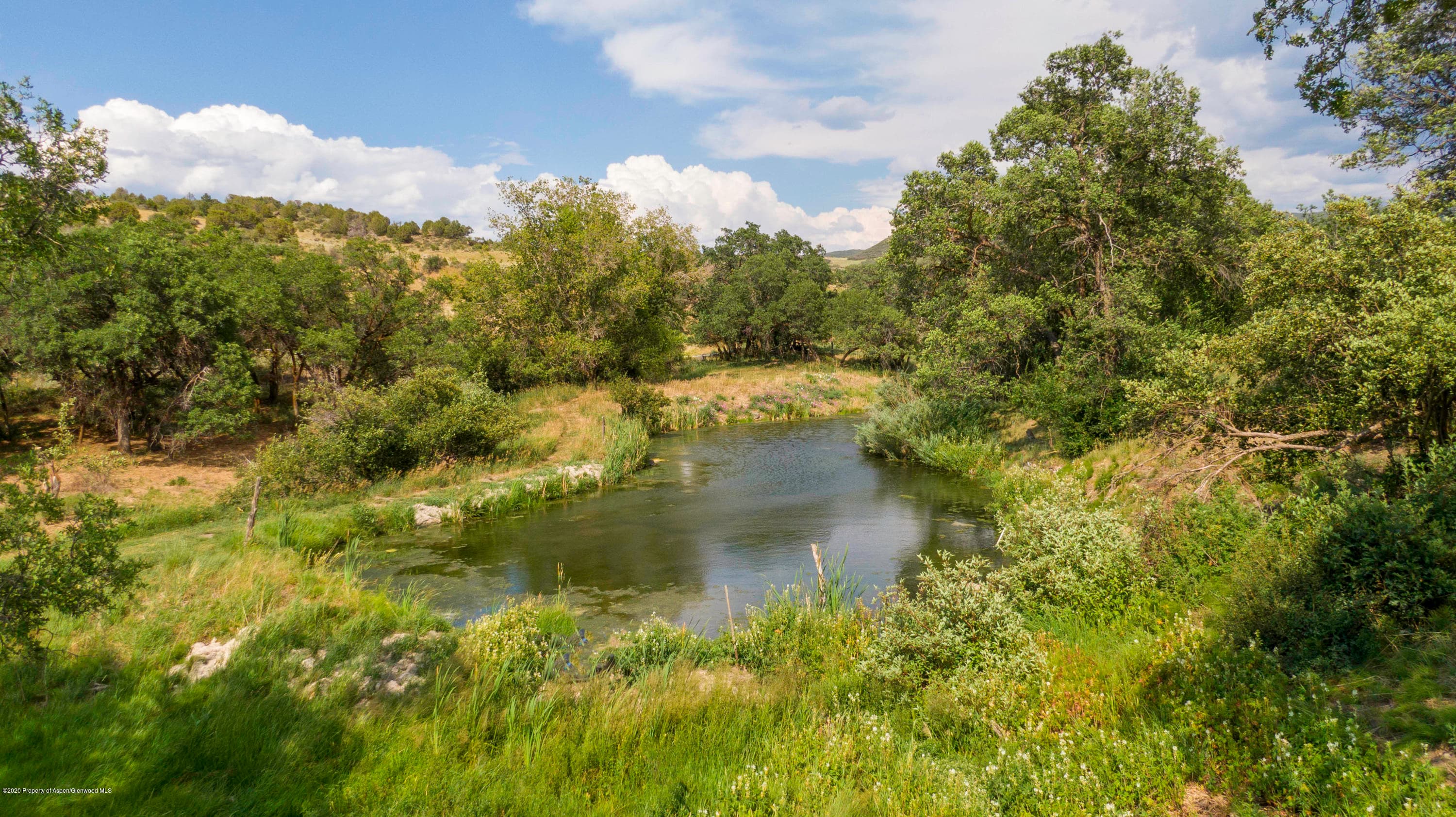6642 County Road 312, New Castle, CO 81647 - Photo 25