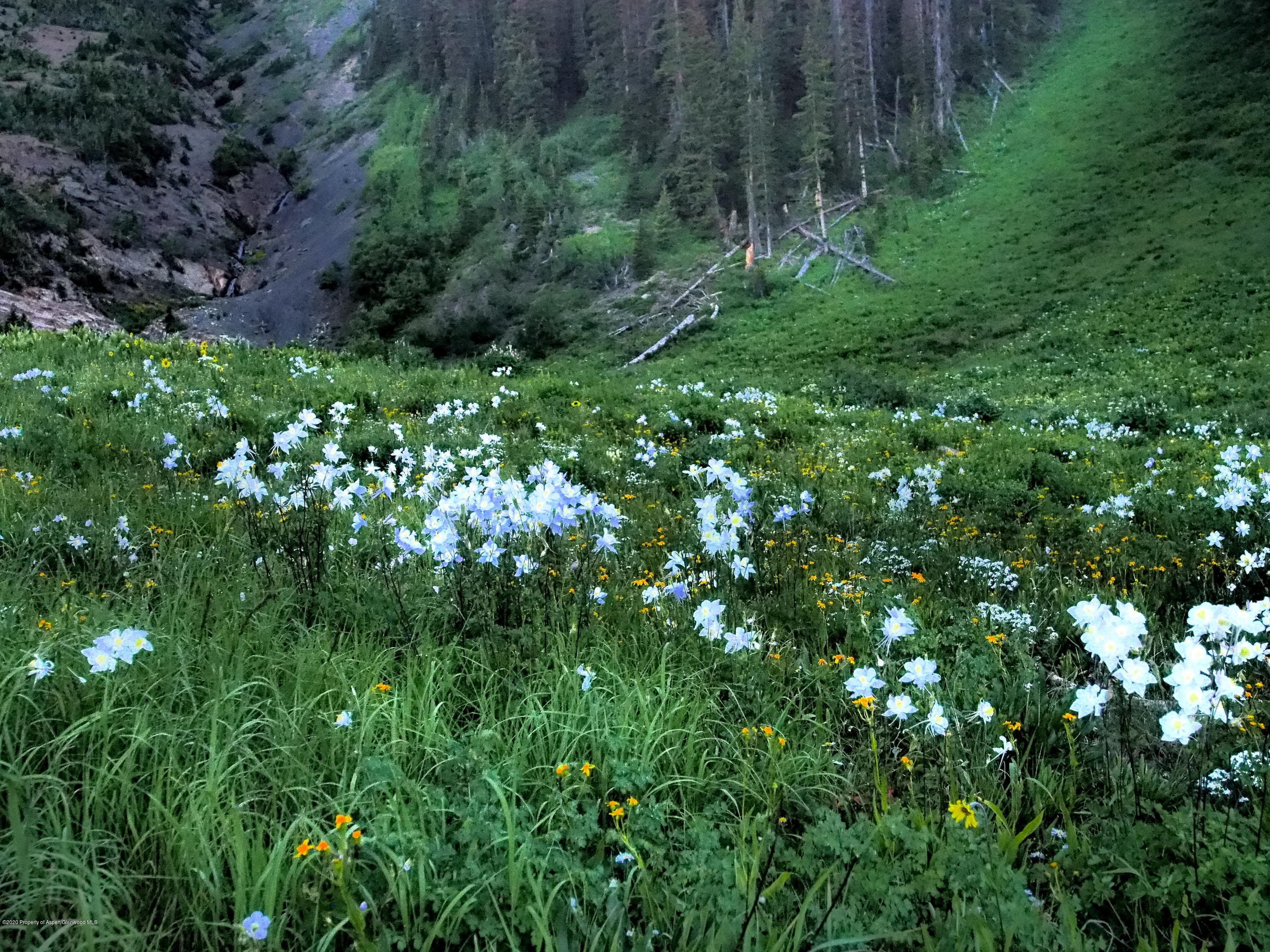 1901 Ragged Mountain Reserve Road, Marble, CO 81623 - Photo 13