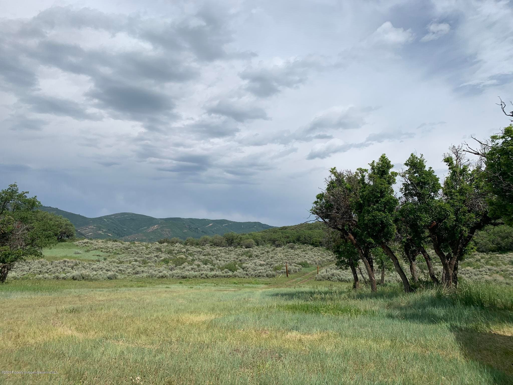 TBD WILD ACRES RANCH Road, Rifle, CO 81650 - Photo 14